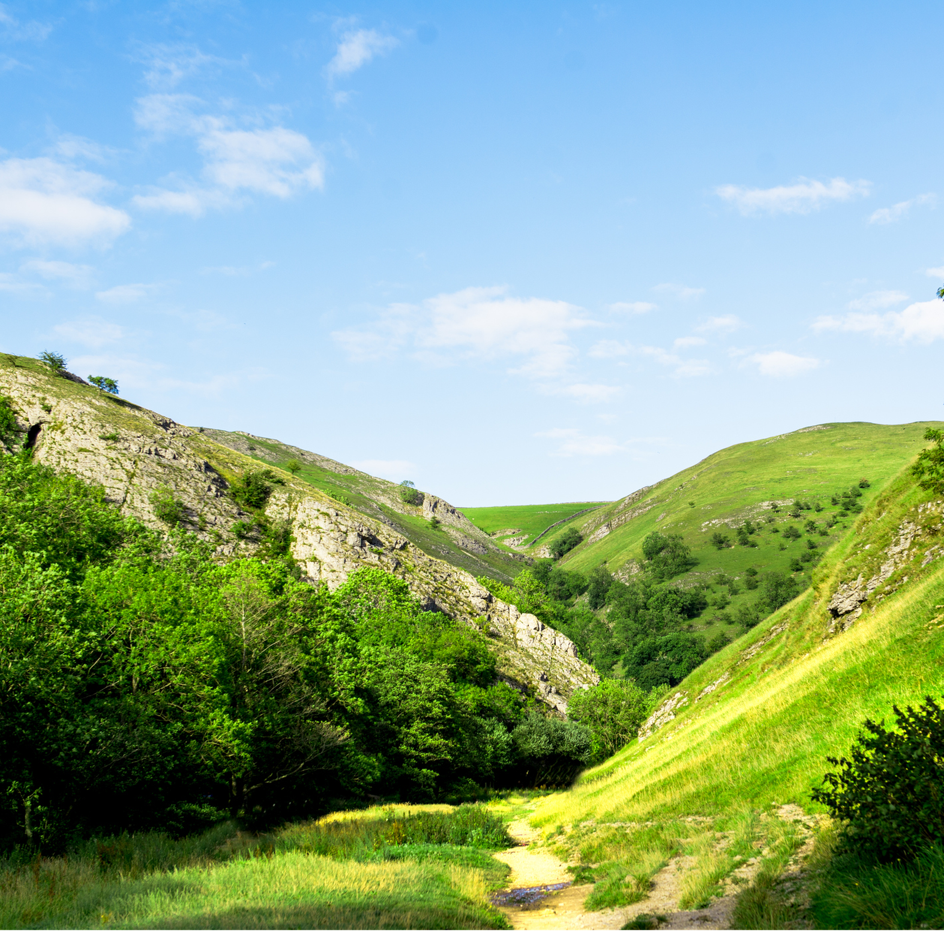 Sound Escape 23: a walk among birdsong in Dovedale in Derbyshire