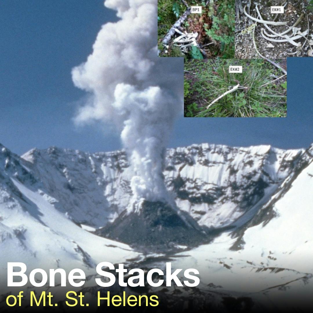 S03E30 - Bone Stacks of Mt. St. Helens