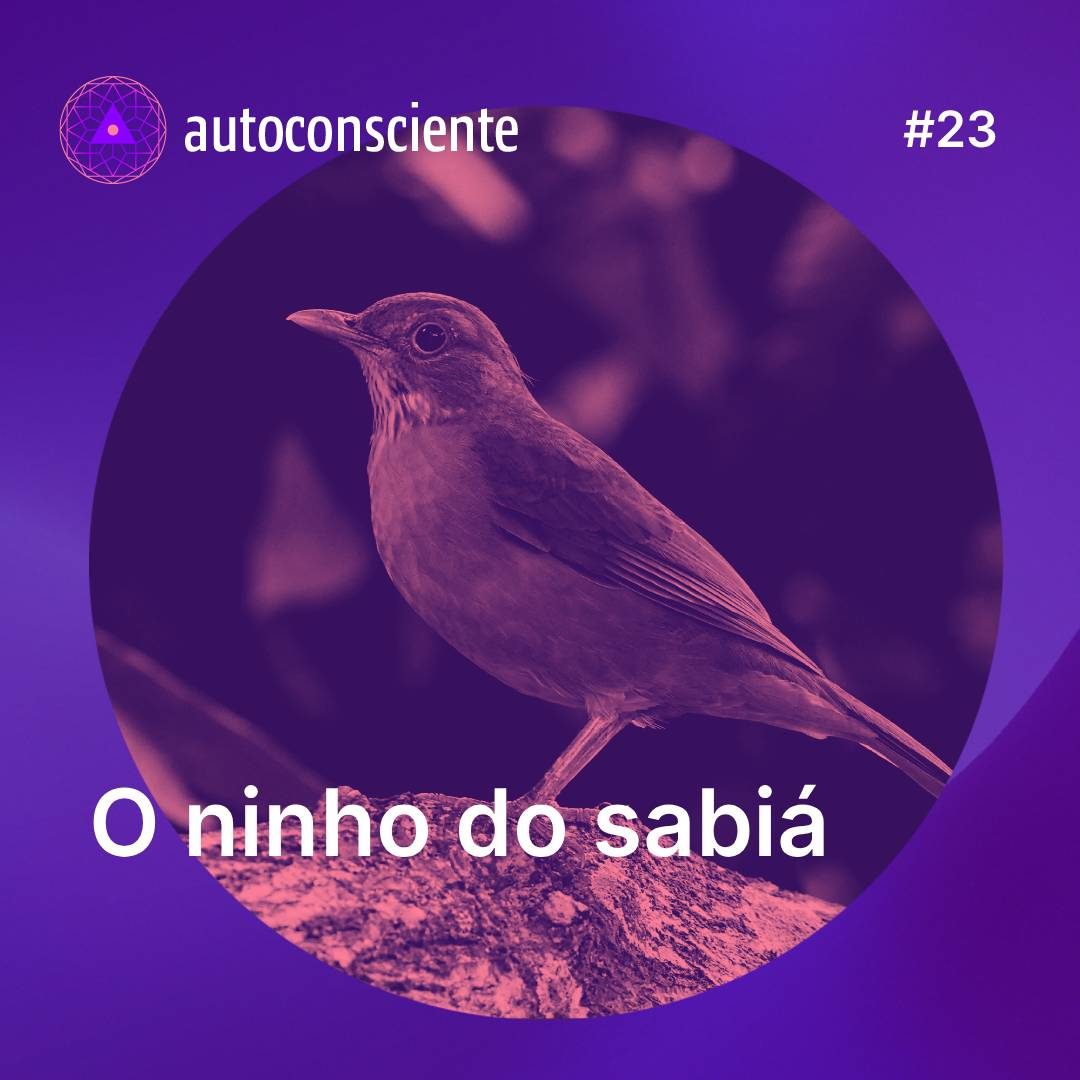 23. O ninho do sabi&aacute; | Sobre persist&ecirc;ncia x teimosia