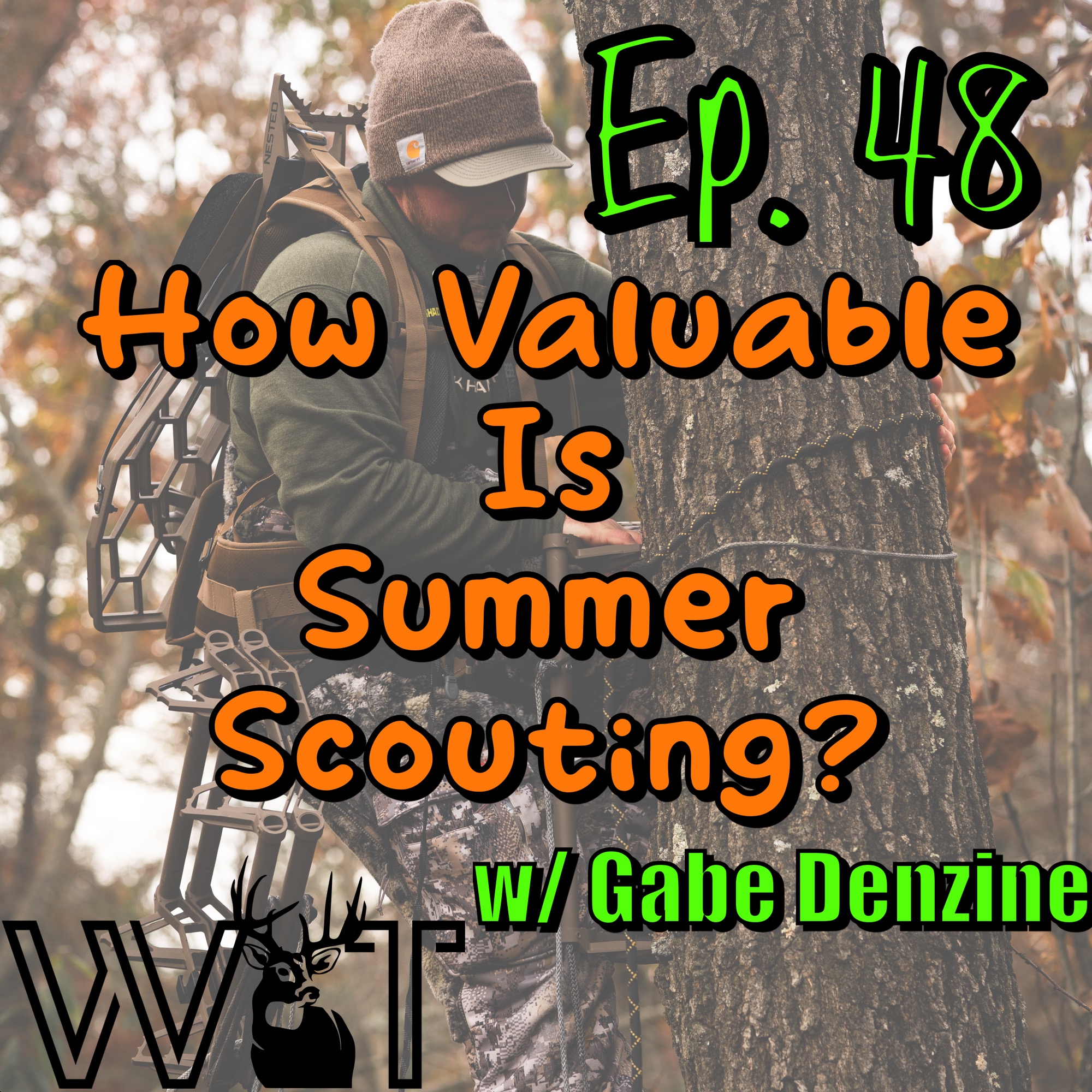 Wing & Tail Boys - How Valuable is Summer Scouting? w/ Gabe Denzine