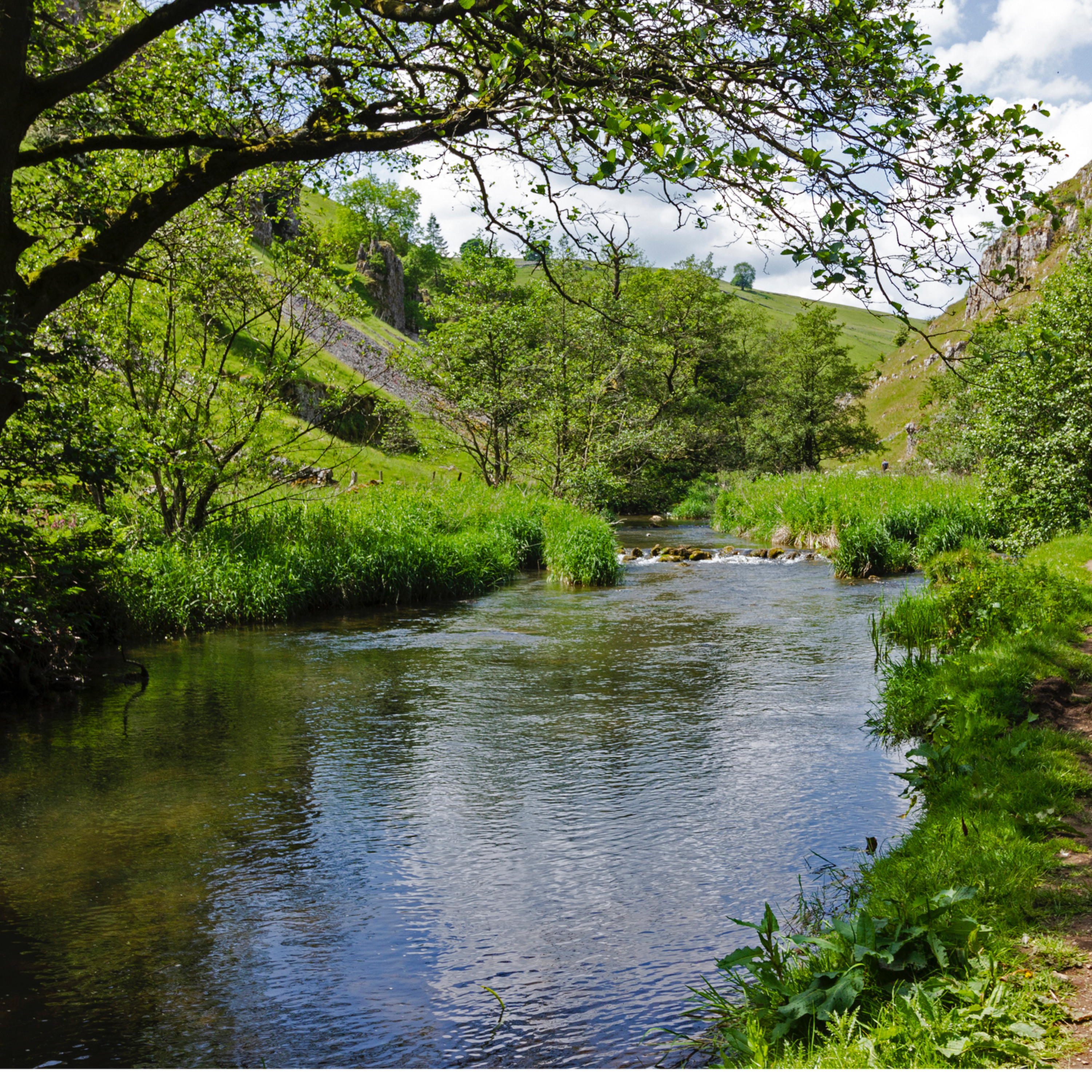 Sound Escape 21: the song of the River Dove in the Peak District