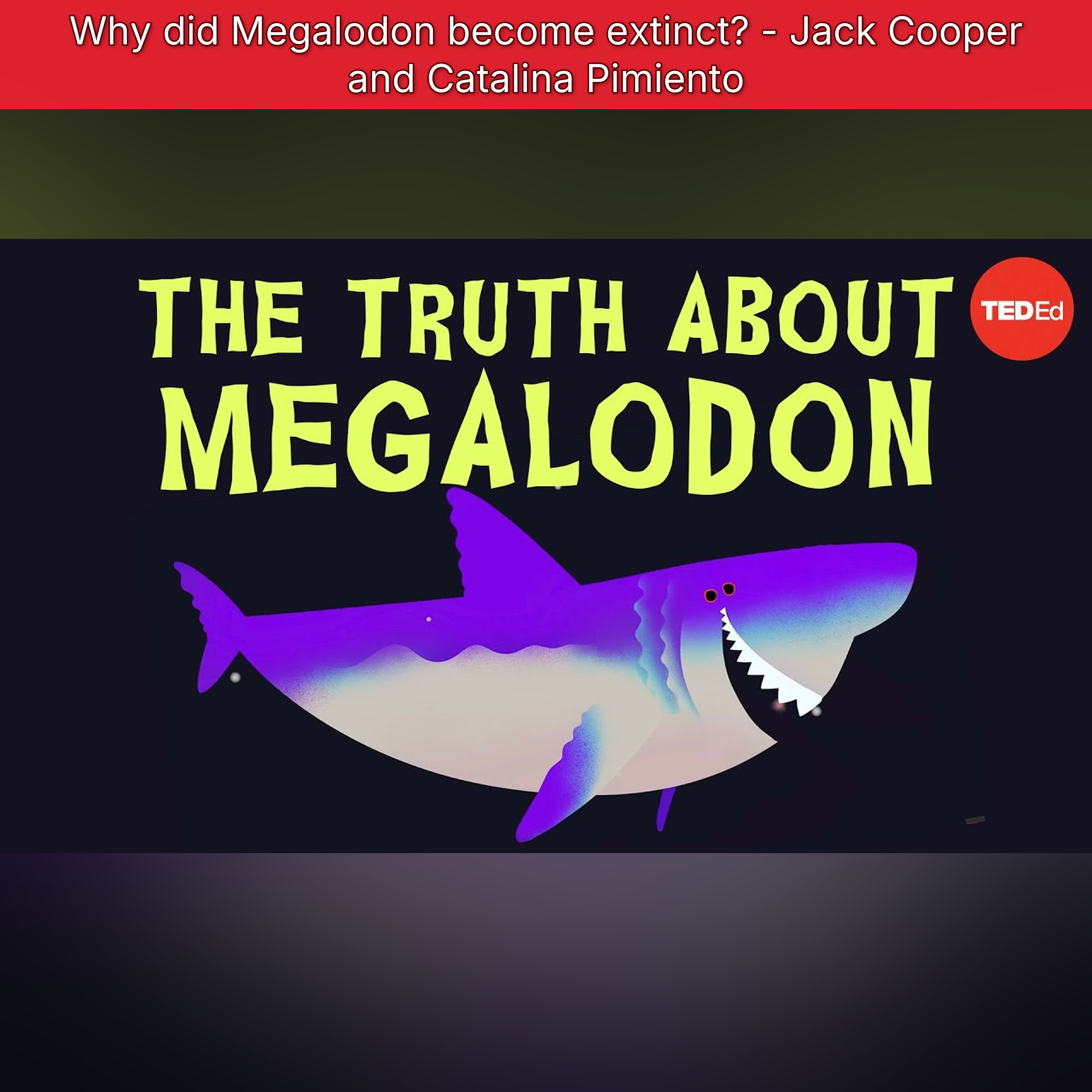 Why did Megalodon become extinct? - Jack Cooper and Catalina Pimiento