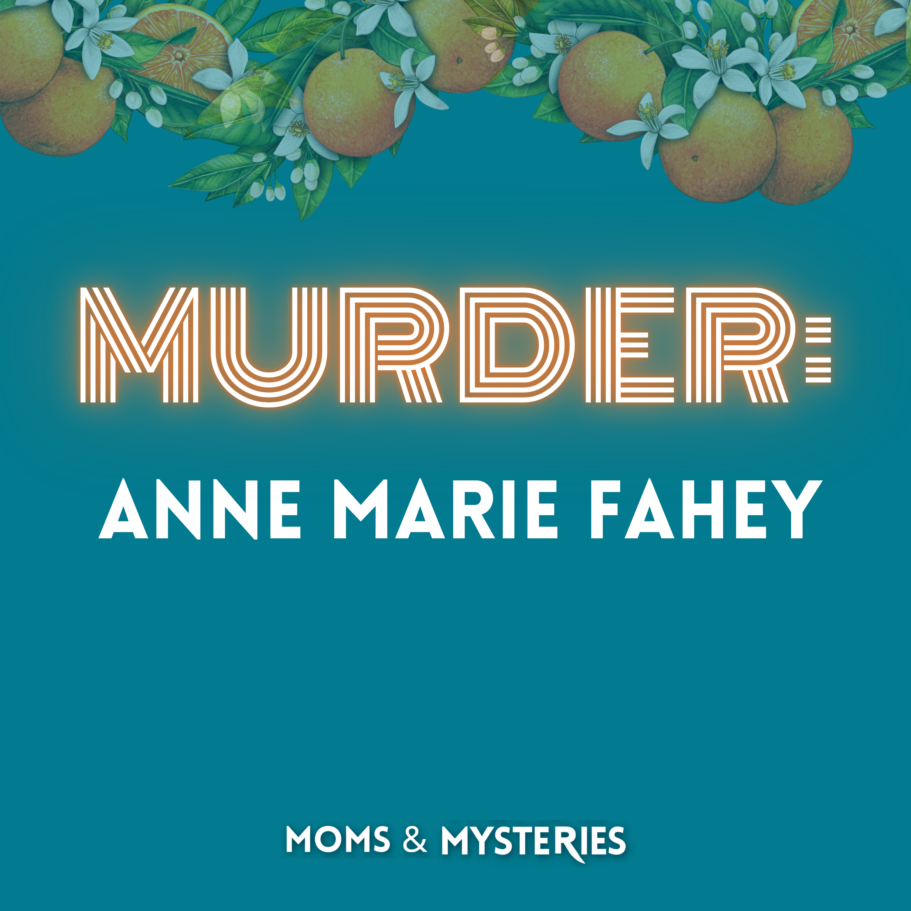 The Murder of Anne Marie Fahey: A Powerful Attorney's Deadly Secret