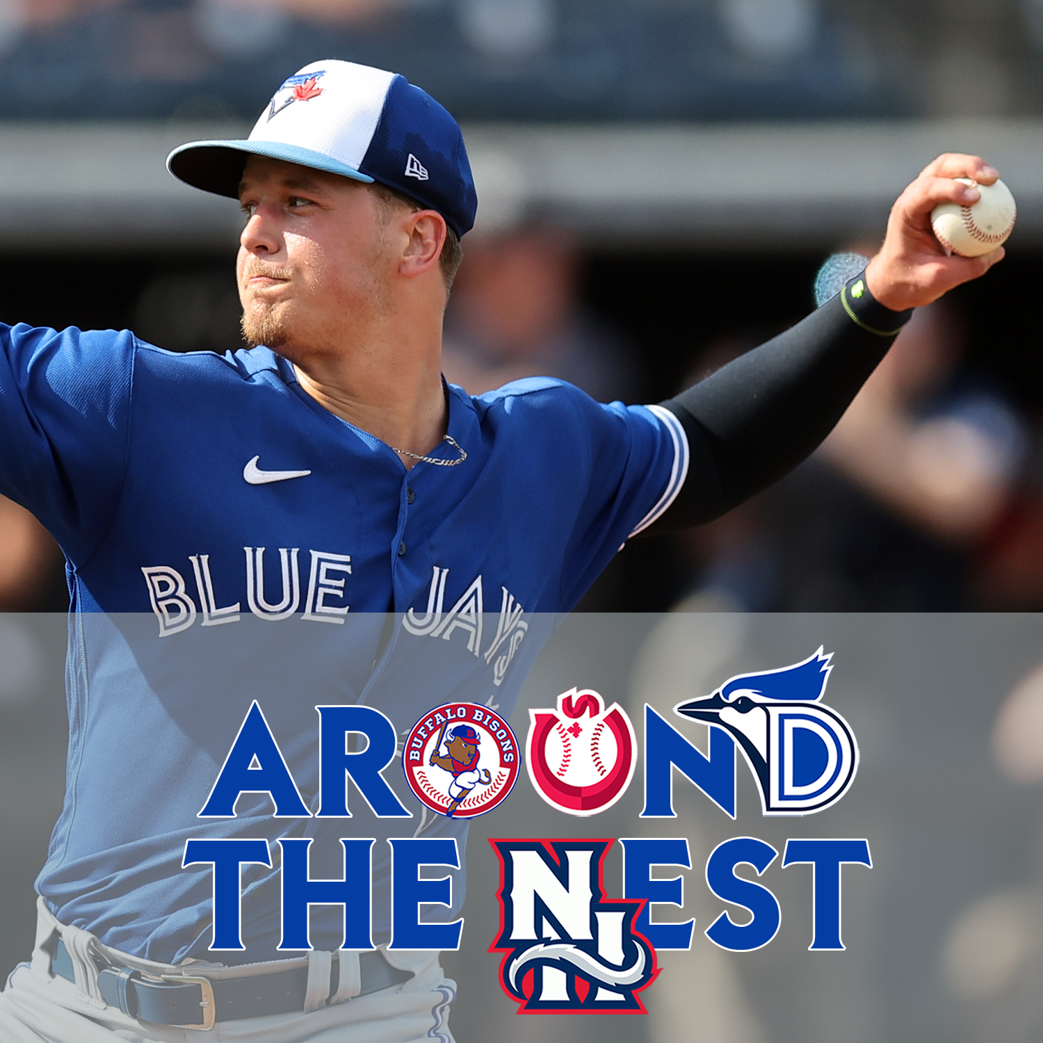 Around The Nest: Turning The Corner