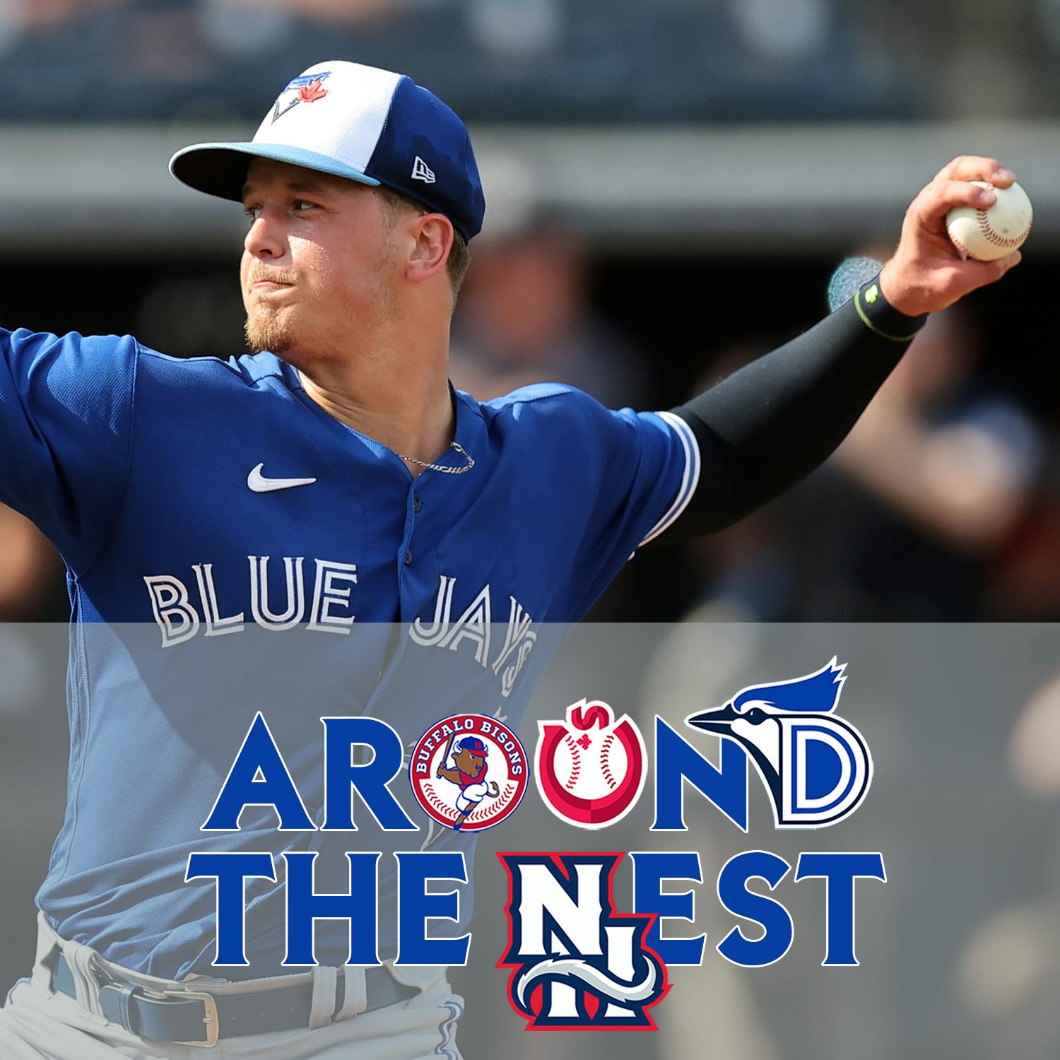 Around The Nest: Turning The Corner Around The Nest: Turning The Corner