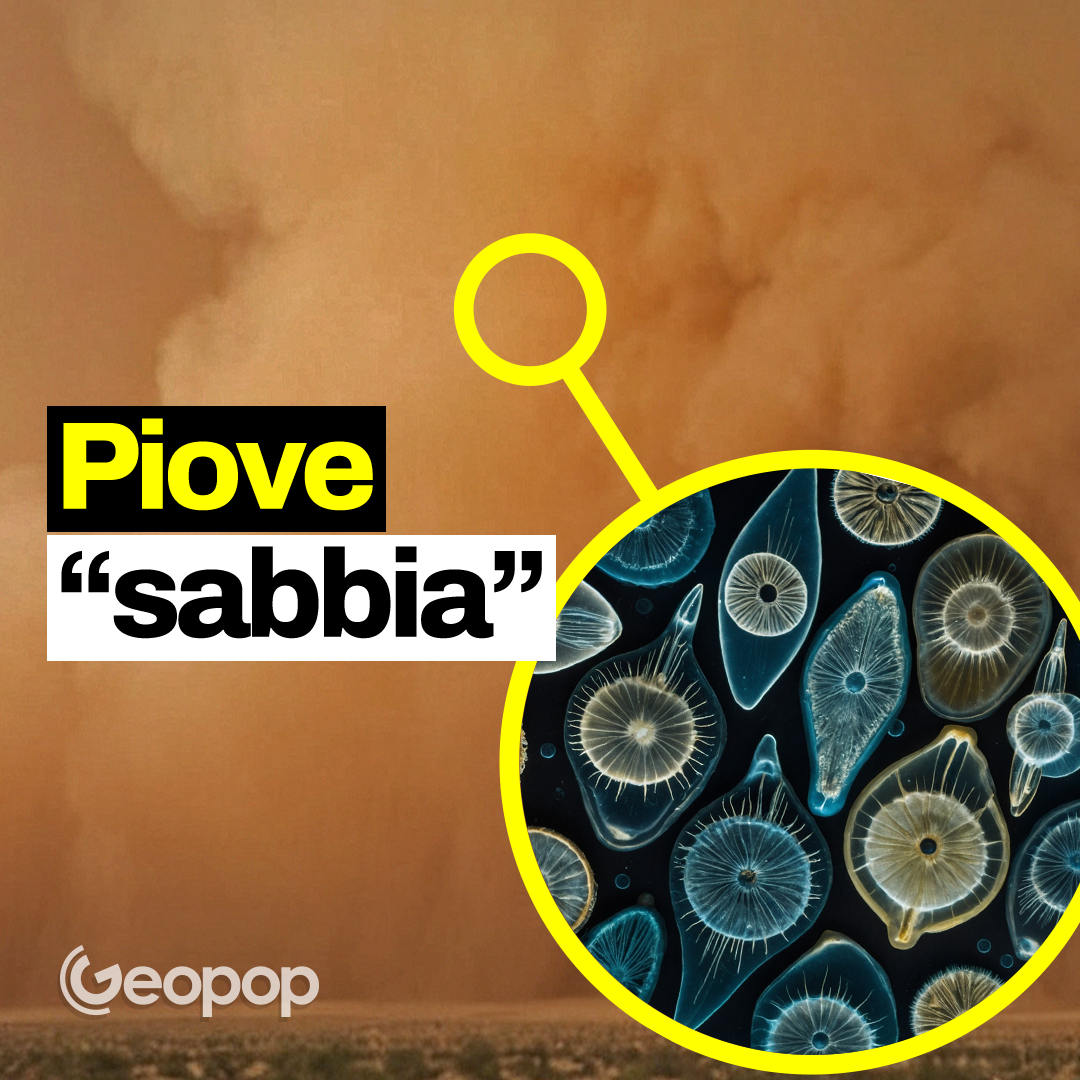 Quella che arriva dal Sahara non è sabbia ma polvere di microalghe: da dove arriva e a cosa serve