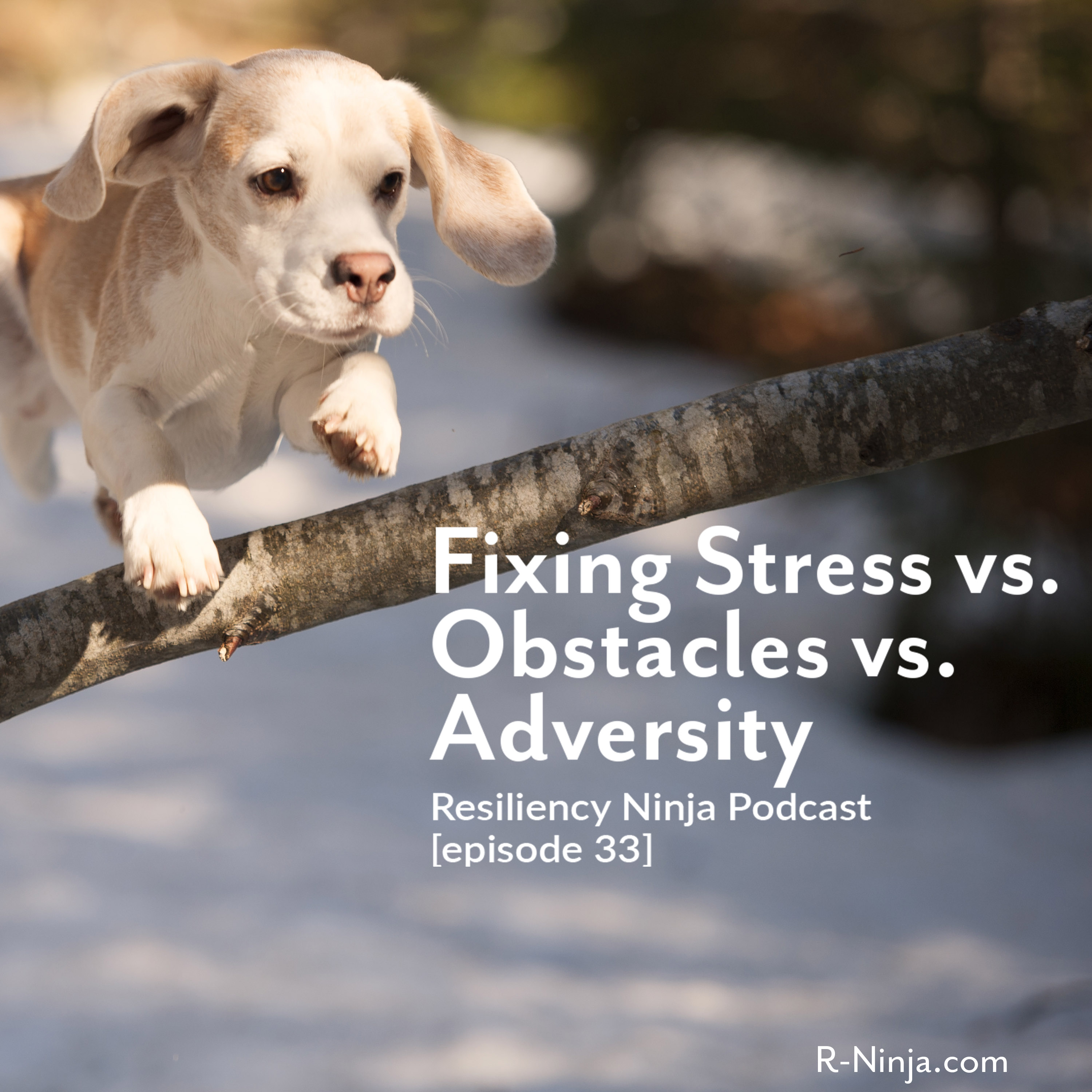 Resiliency Ninja with Allison Graham