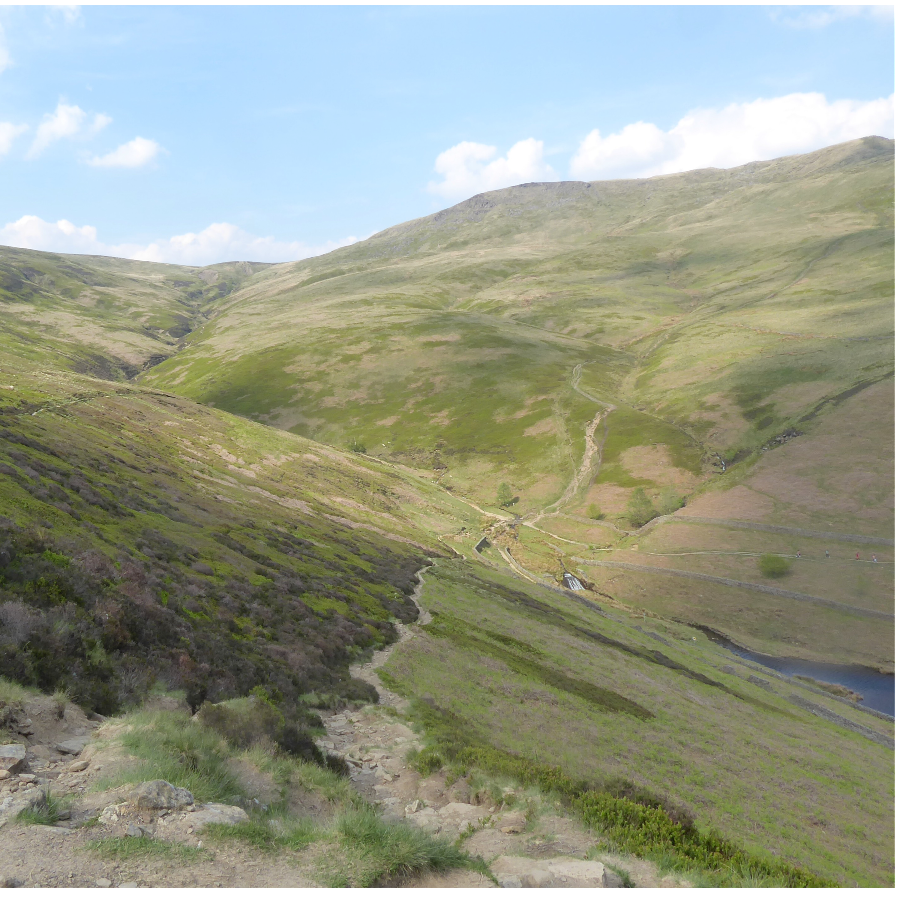 106. Meet the wildlife of a beautiful, unspoilt stream in a Peak District valley