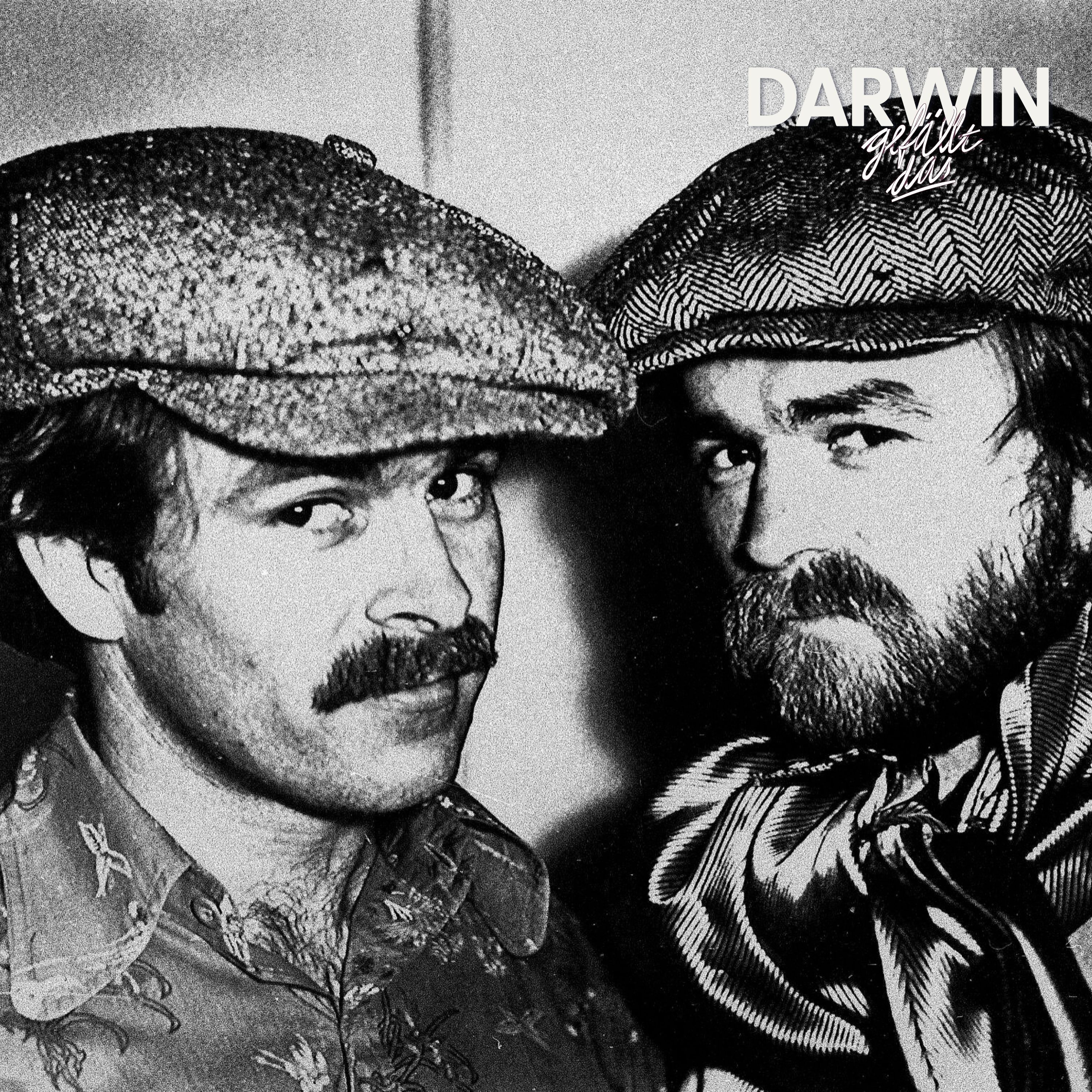 Die Porno-Brüder | DGD Sommersause