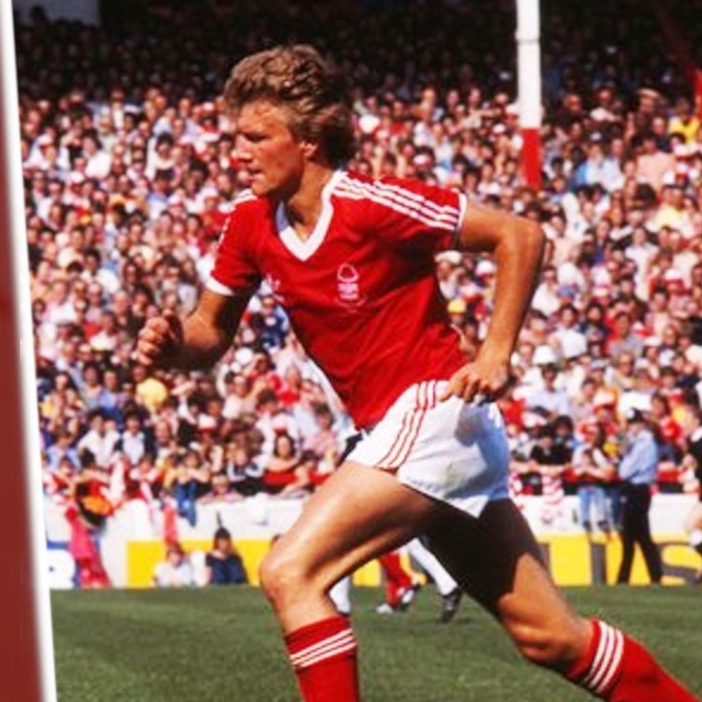 Garibaldi Red - A Nottingham Forest Podcast