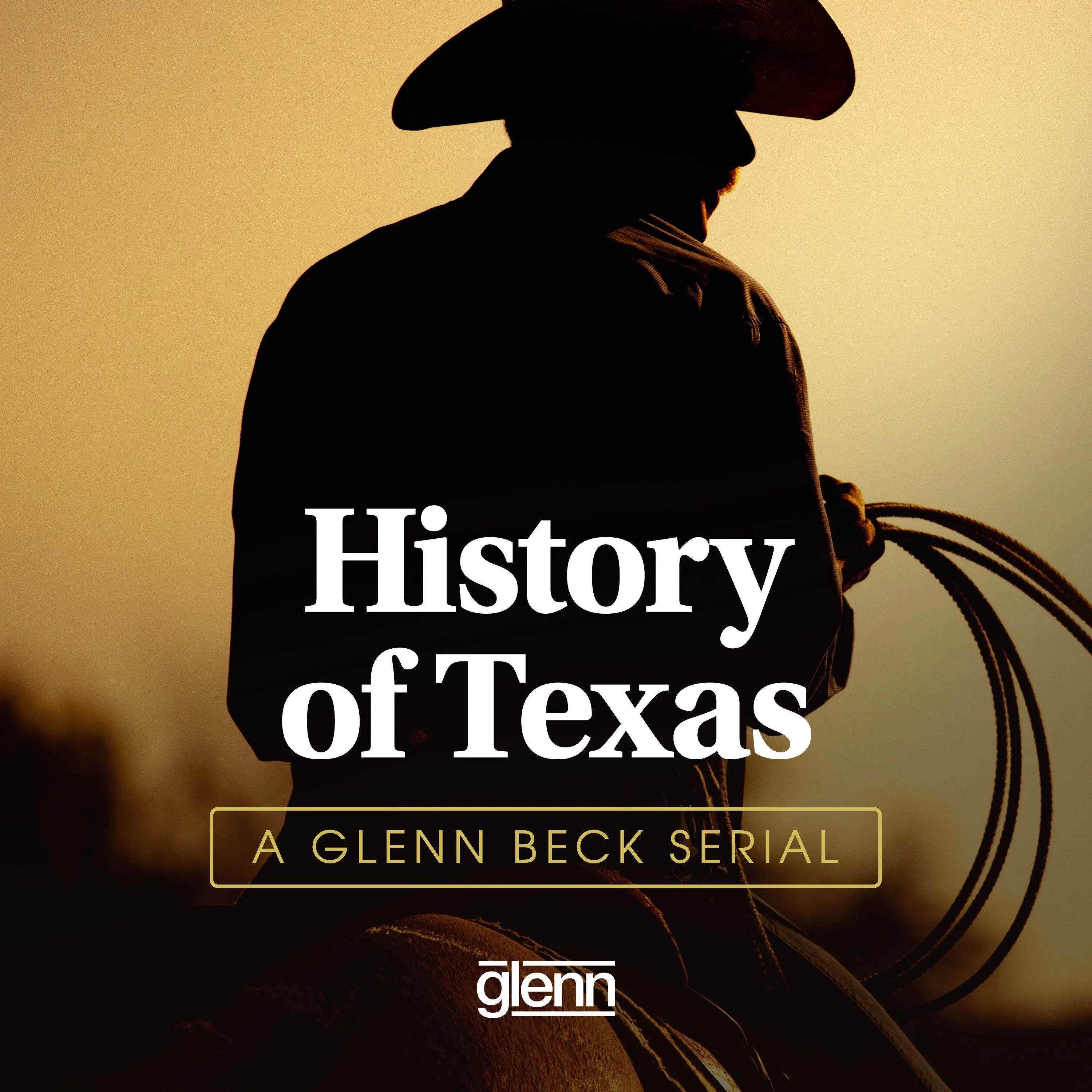 History of Texas cover