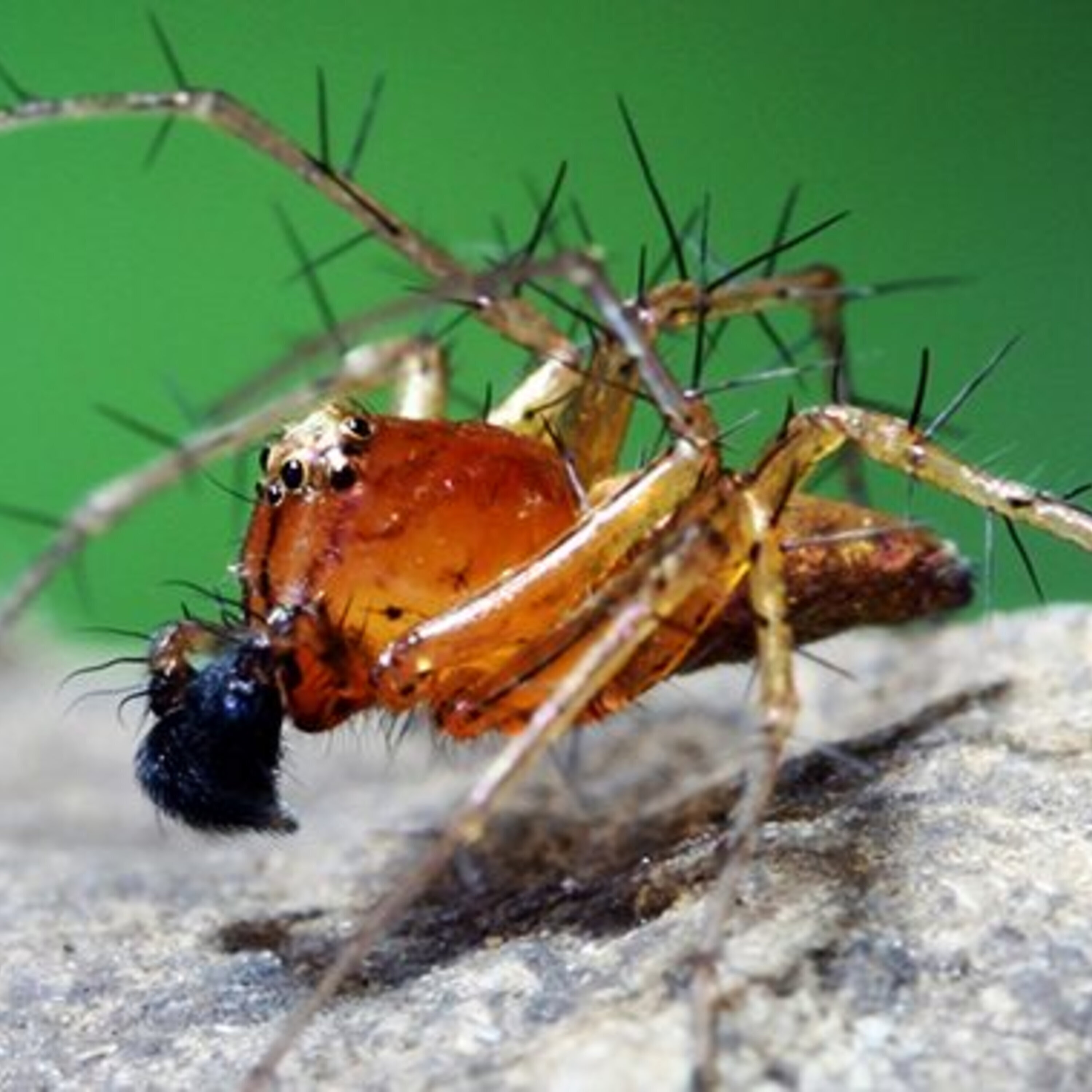 Can math apps benefit kids? And a daily news roundup