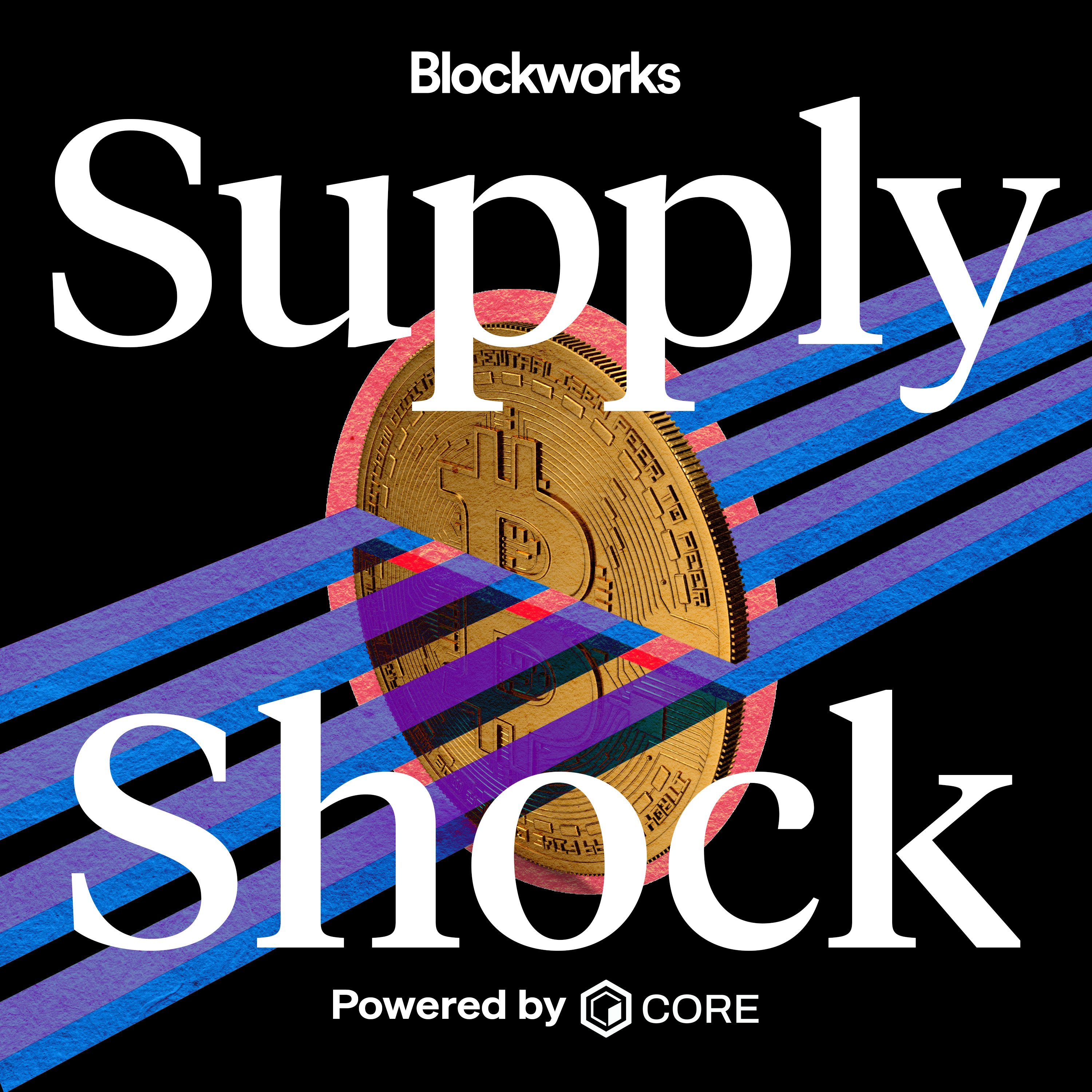 How To Win The Bitcoin Lottery | BitAxe Creator Skot