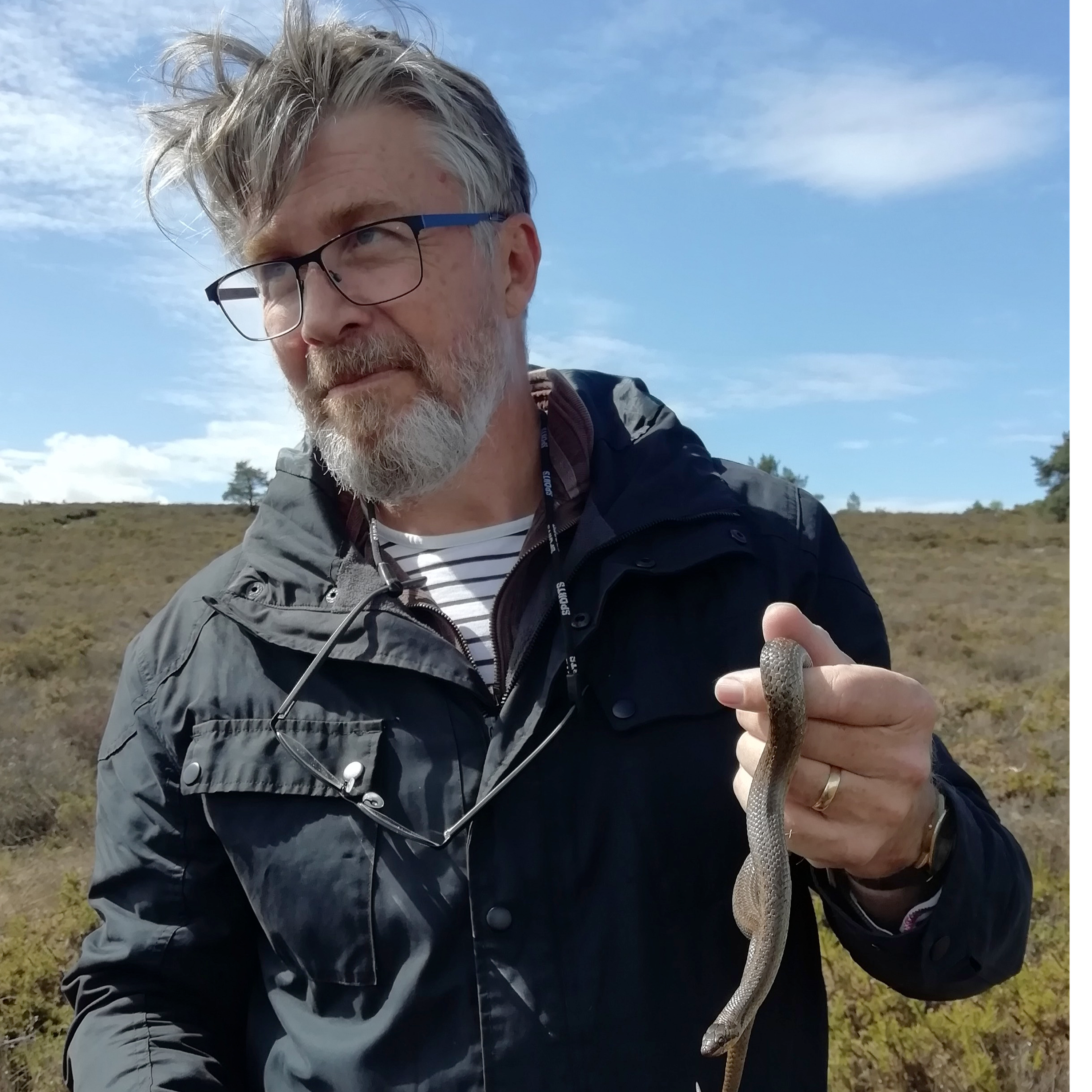 104. Explore the Dorset heaths in search of Britain's rarest reptile