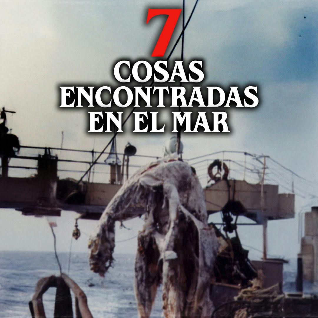 7 Cosas misteriosas encontradas en el mar 7 Cosas misteriosas encontradas en el mar