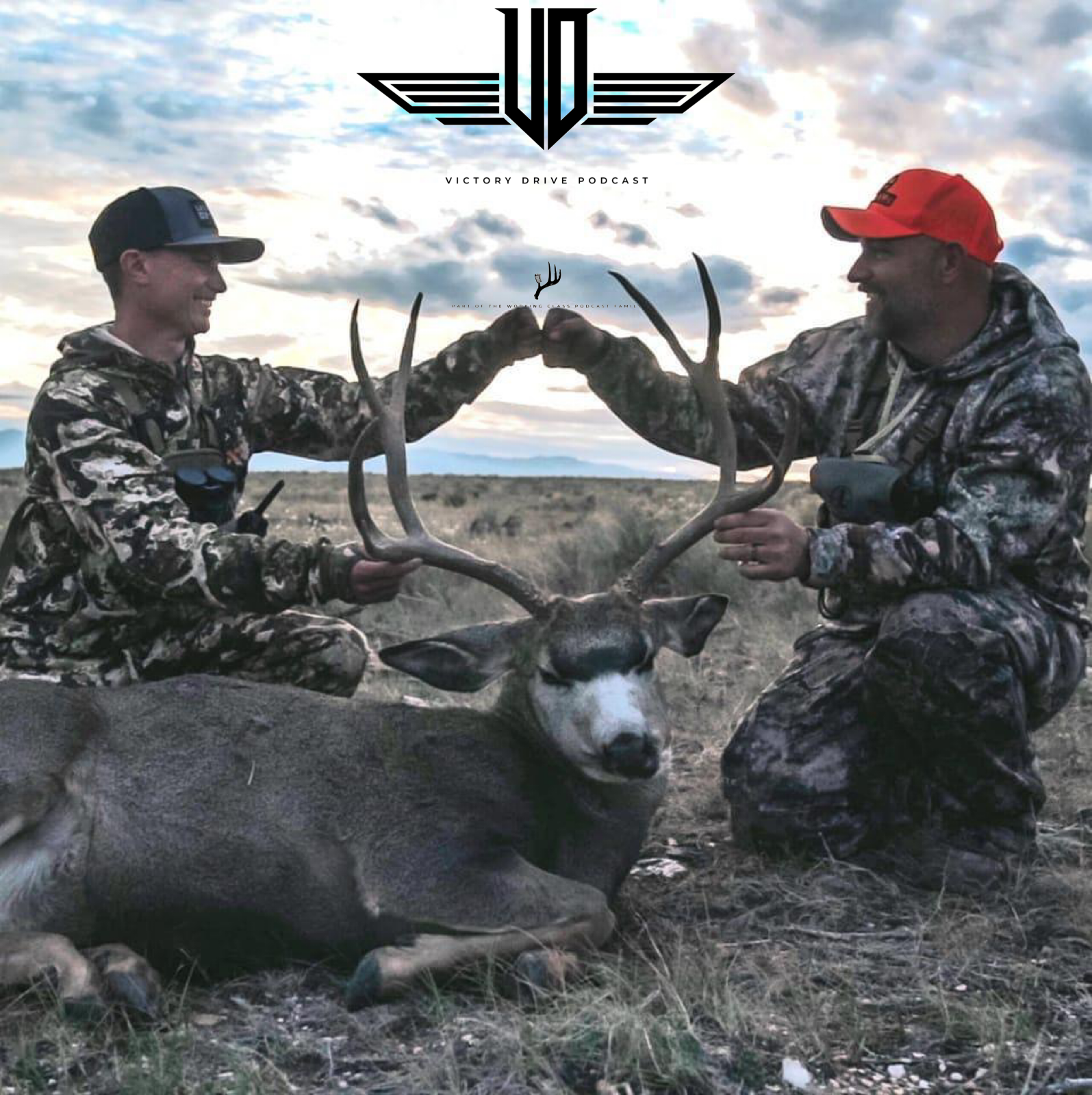 05 Mule Deer King Of The Camp - Joe Merchant episode artwork