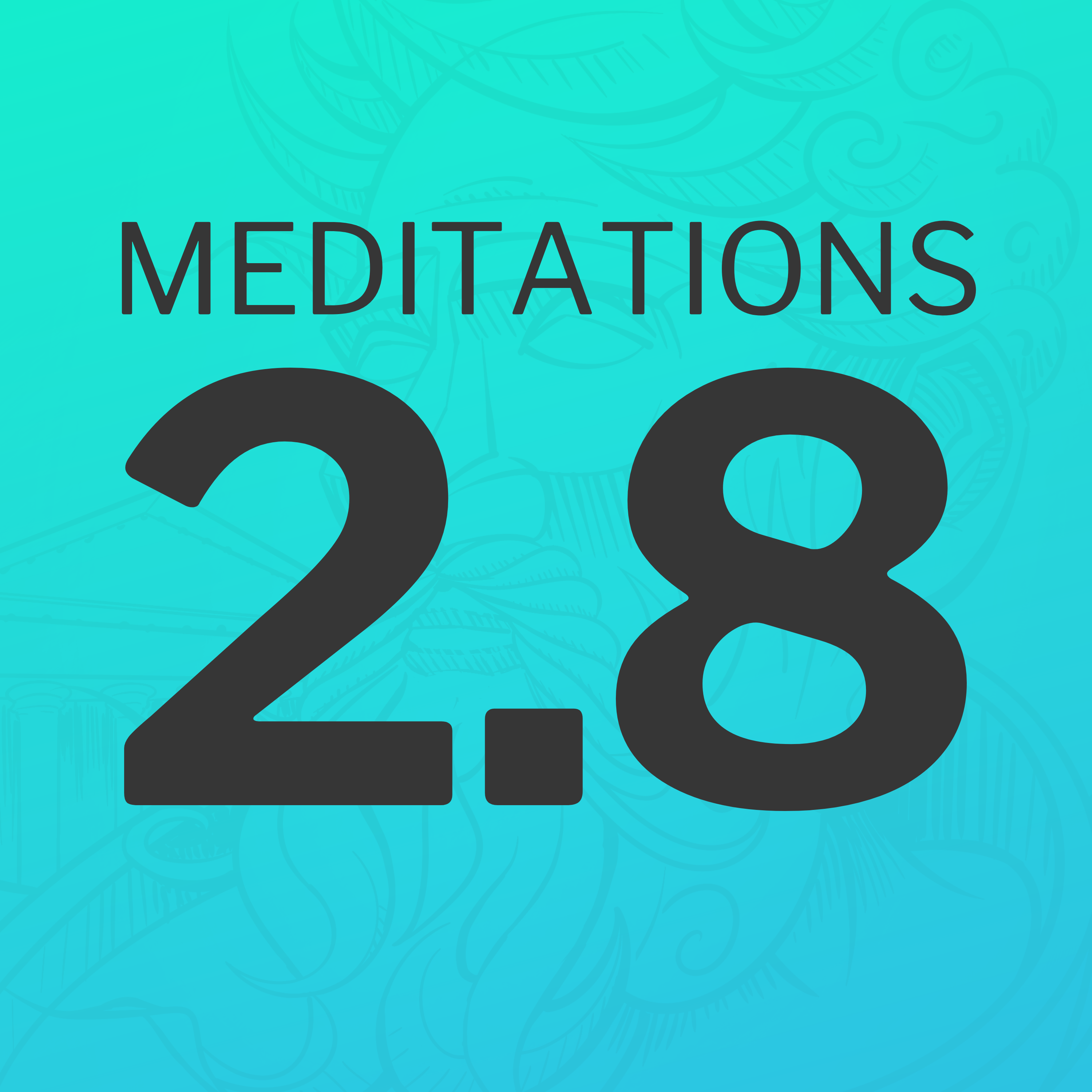 Mind the business of your own mind (Meditations 2.8)