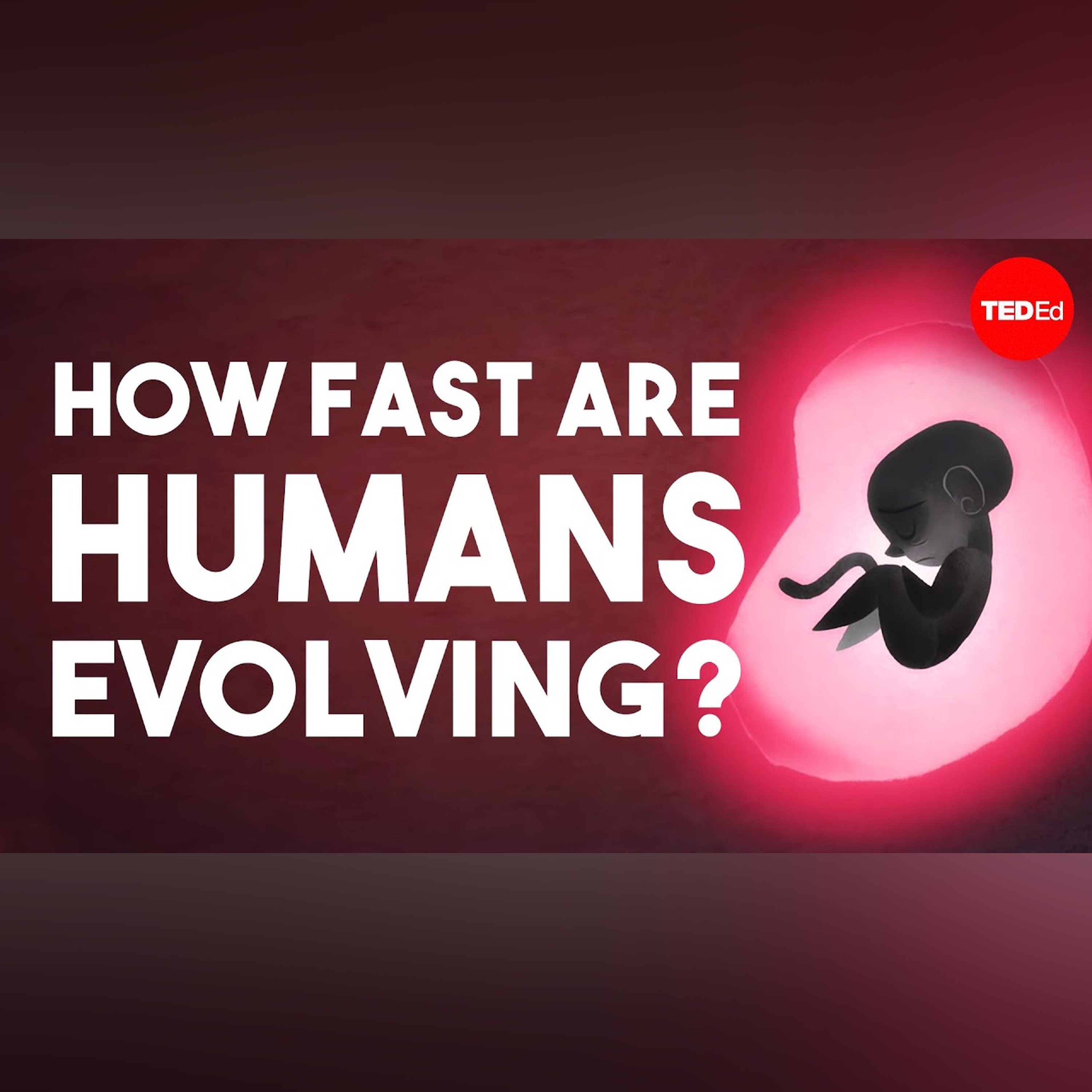 Is human evolution speeding up or slowing down? - Laurence Hurst