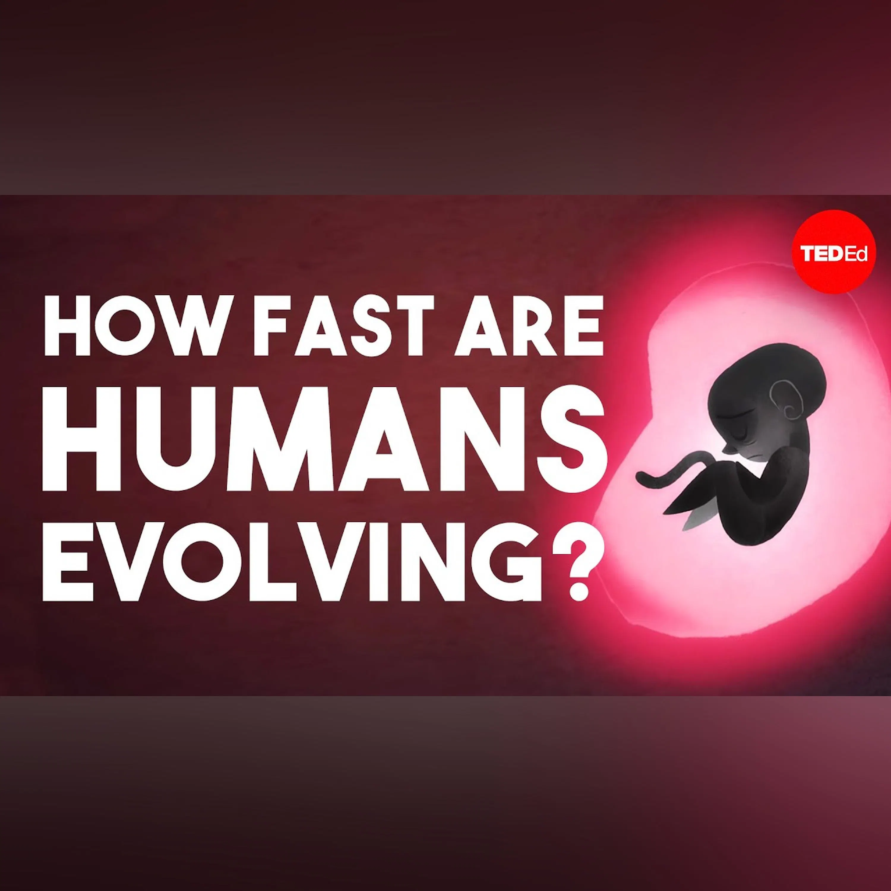 Artwork for TED-Ed
