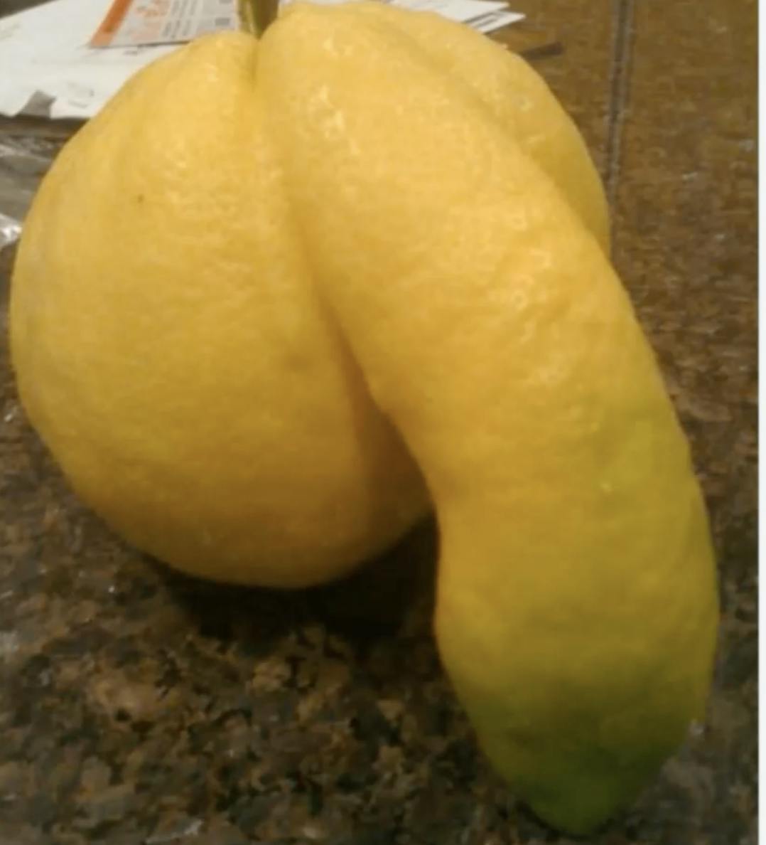 Epstein’s Lemon/Egg Shaped Penis & Chat GPT Psychosis | 11.20.25 Epstein’s Lemon/Egg Shaped Penis & Chat GPT Psychosis | 11.20.25
