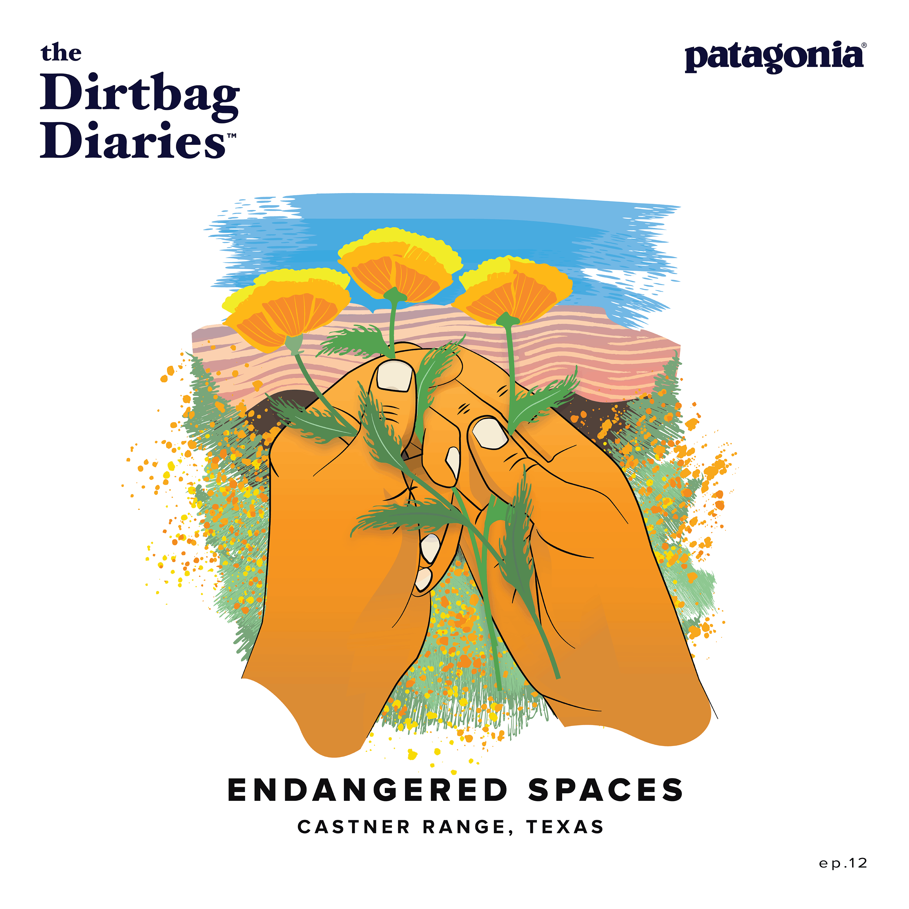 Endangered Spaces--Castner Range