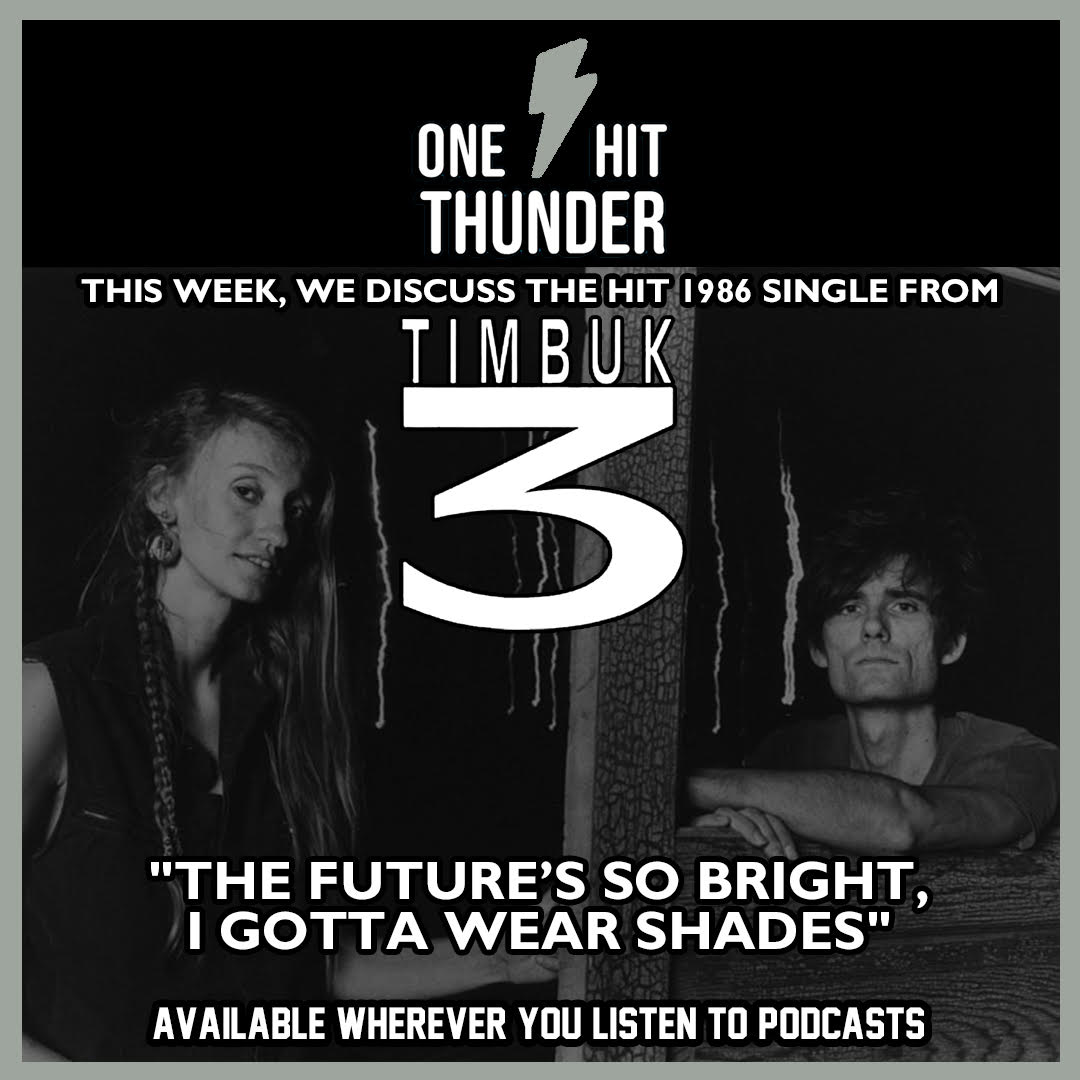 “The Future’s So Bright, I Gotta Wear Shades” by Timbuk 3