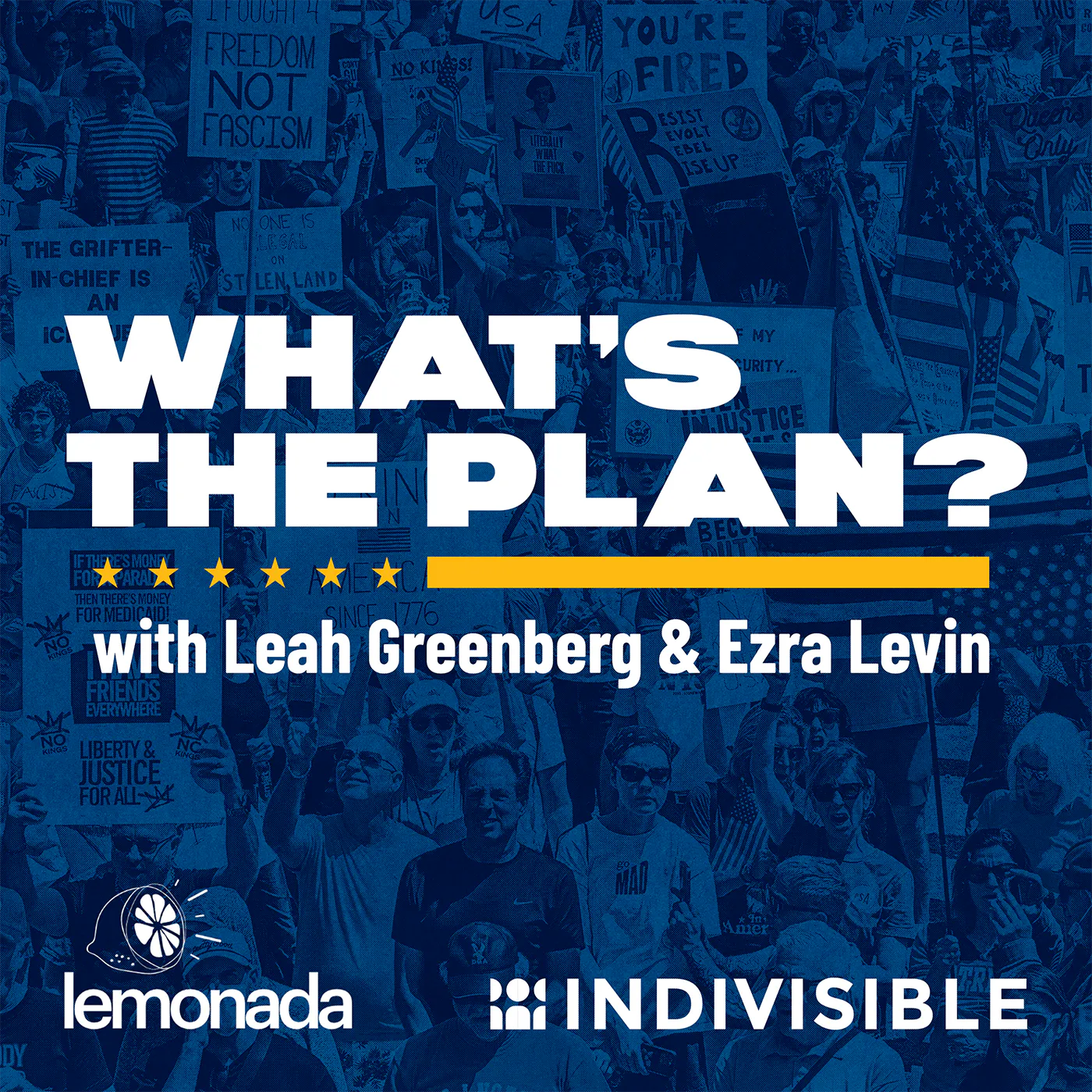 Artwork for What's The Plan? with Leah Greenberg and Ezra Levin