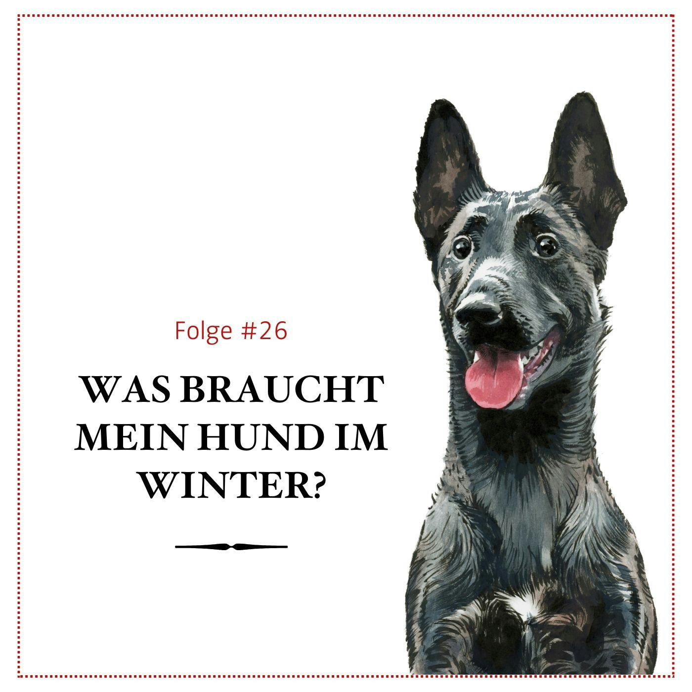 Das braucht der Hund im Winter - #26 Das braucht der Hund im Winter - #26