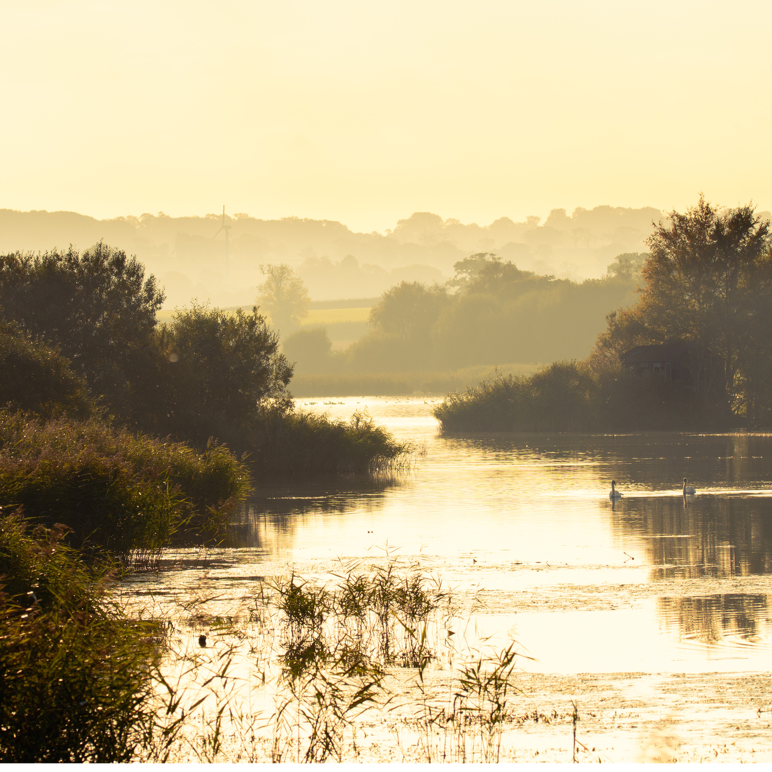 Sound Escape 13: a few minutes of total peace deep in the Somerset Levels
