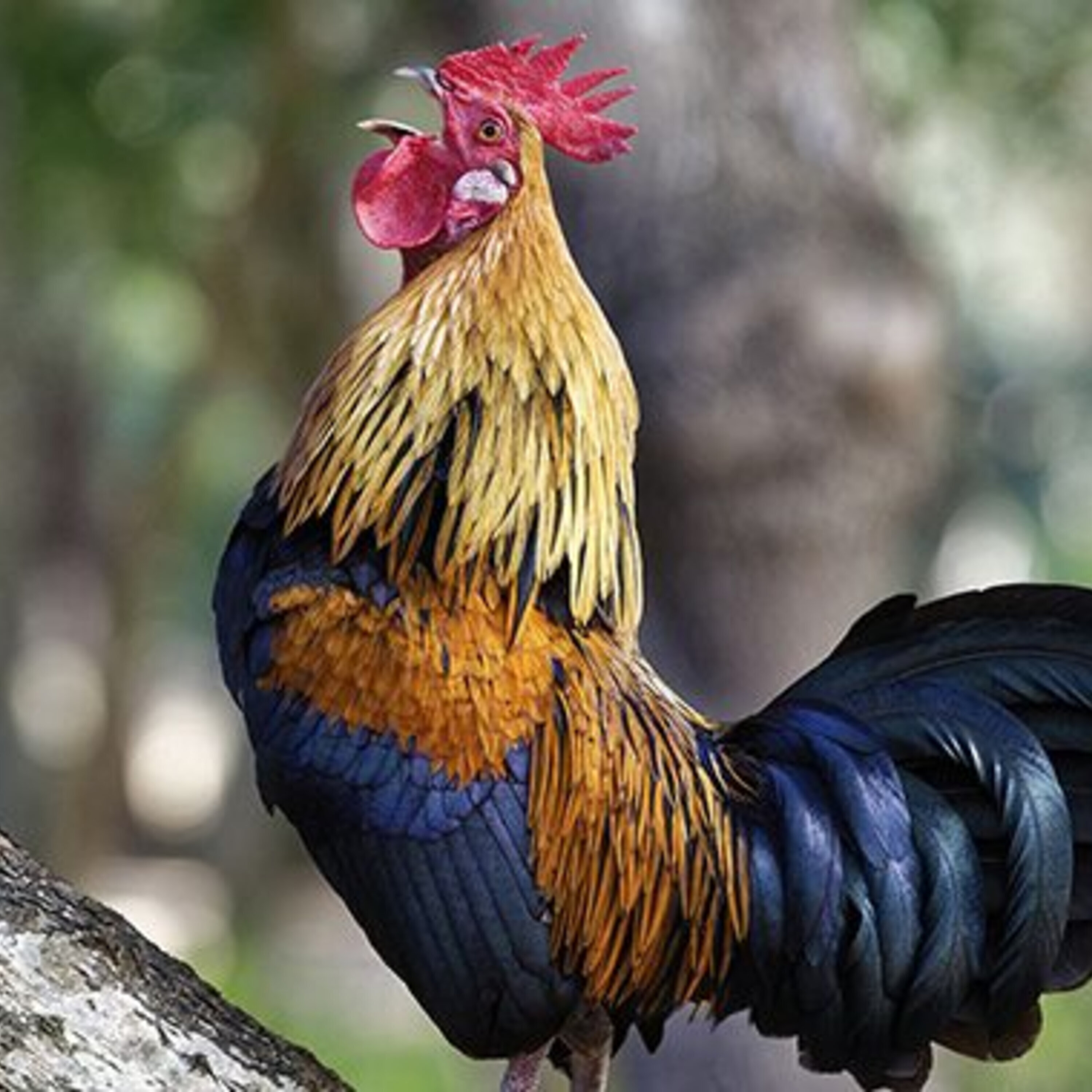 How future elites view self-interest and equality and a news roundup