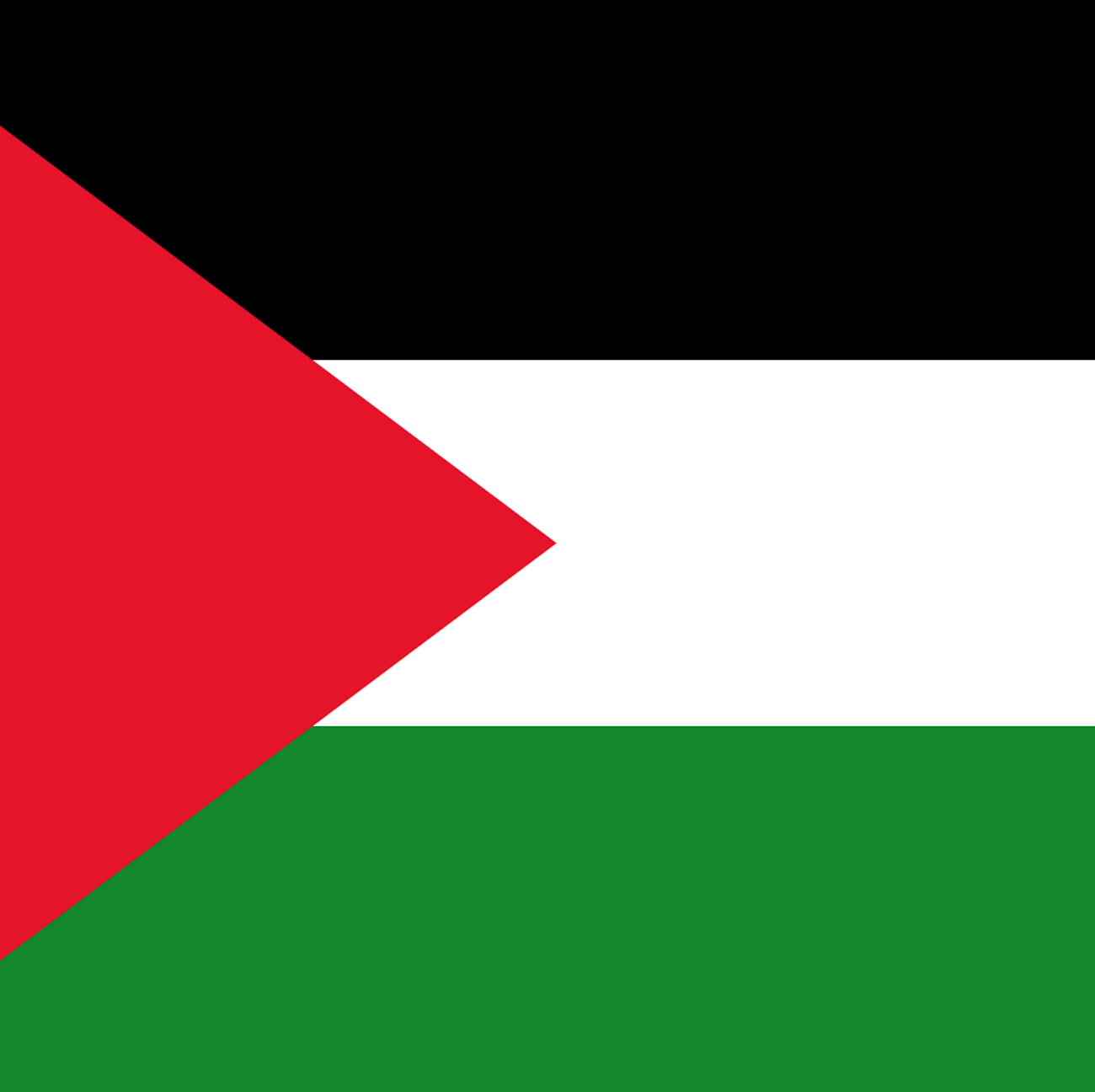 The Bigger Picture: Recognising Palestine, the doctors' strike, Trump's visit & migration