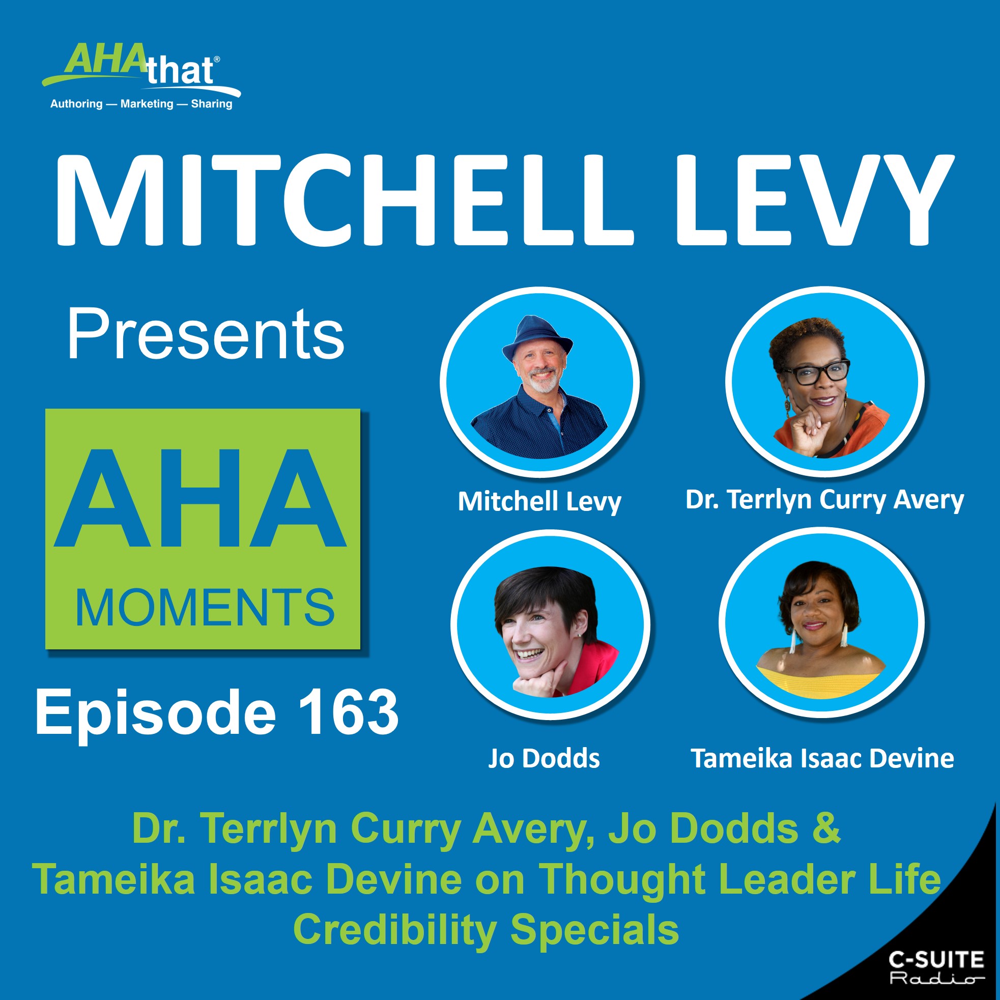 Mitchell Levy Presents AHA Moments