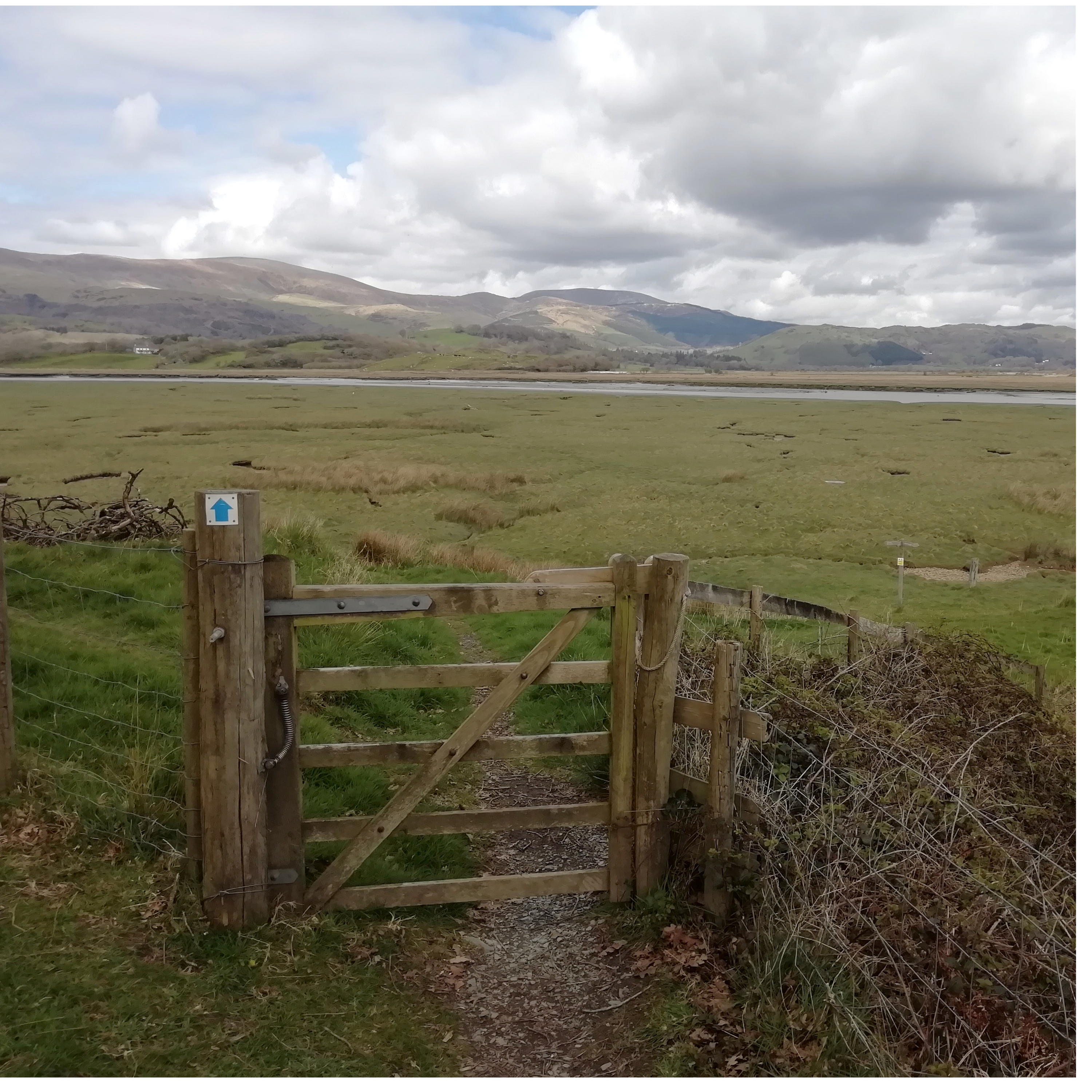 99. A spring adventure in a wildlife paradise – and the quest for a legendary woodpecker