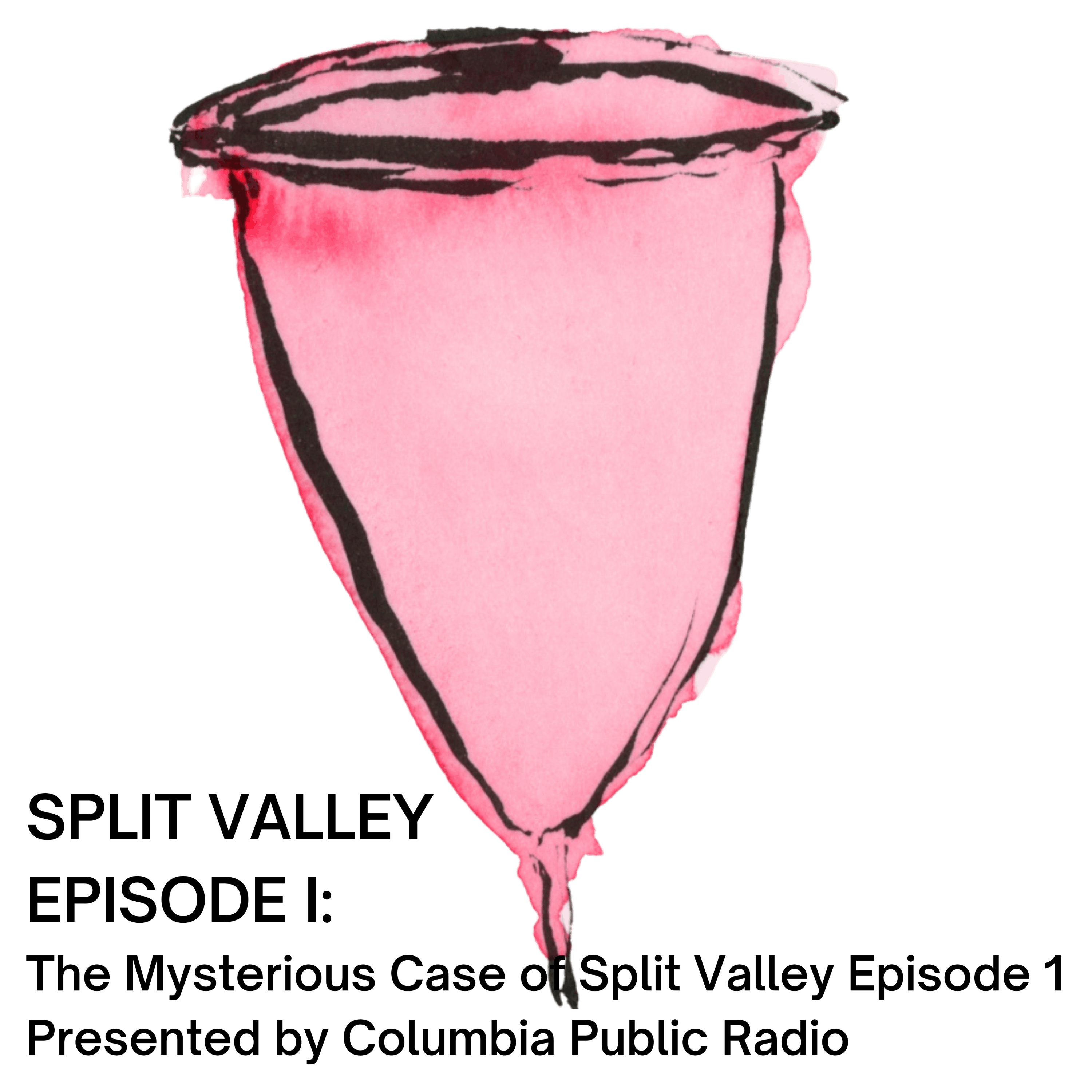Episode I: The Mysterious Case of Split Valley Episode 1 Presented by Columbia Public Radio