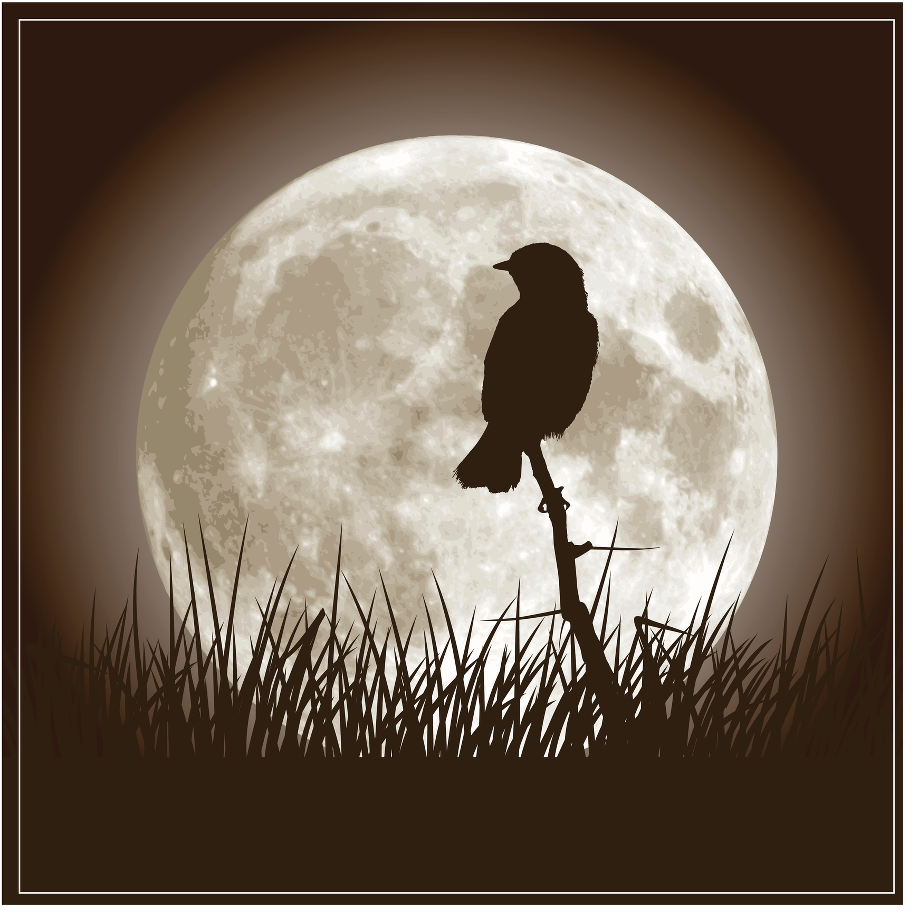 Sound Escape 11: the glorious song of nightingales from a Dorset wood