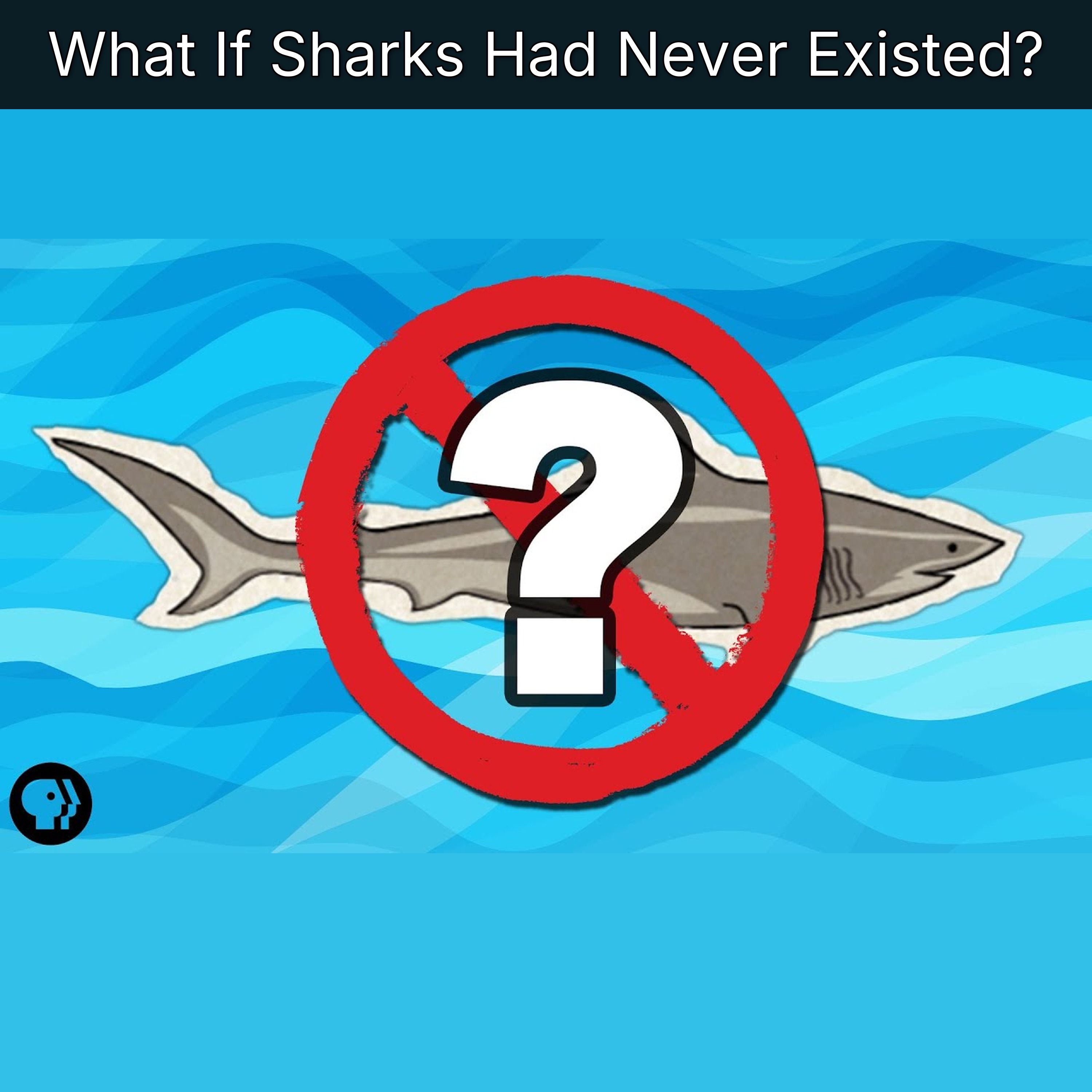 What If Sharks Had Never Existed? episode artwork