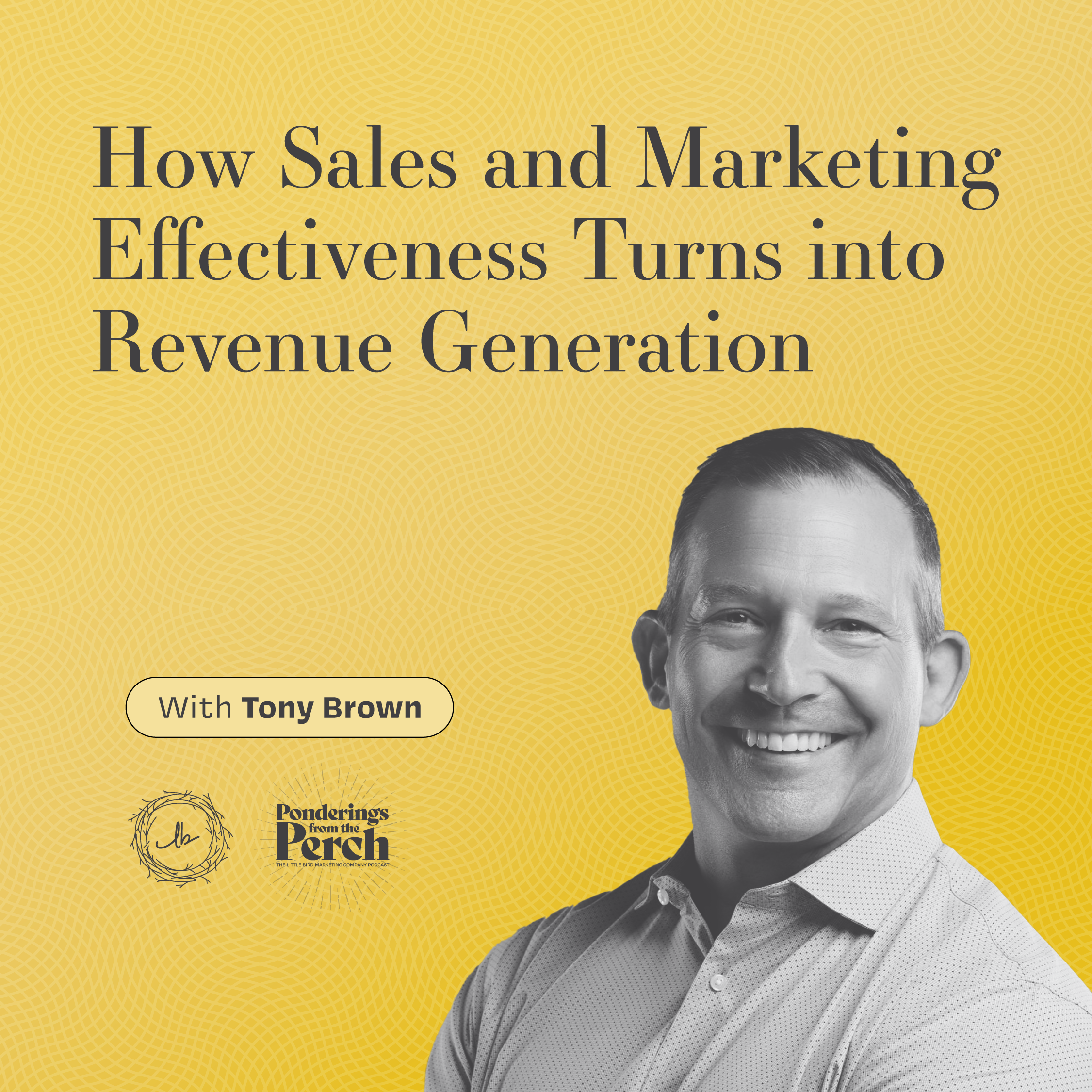 How Sales and Marketing Effectiveness Turns into Revenue Generation episode artwork
