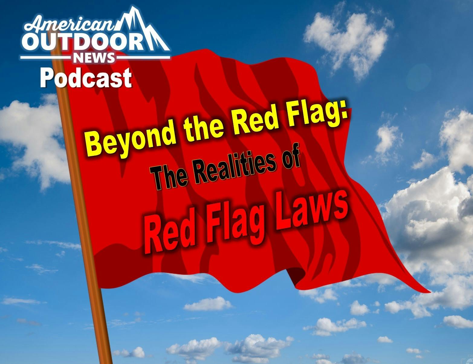 Beyond the Red Flag The Realities of Red Flag Laws