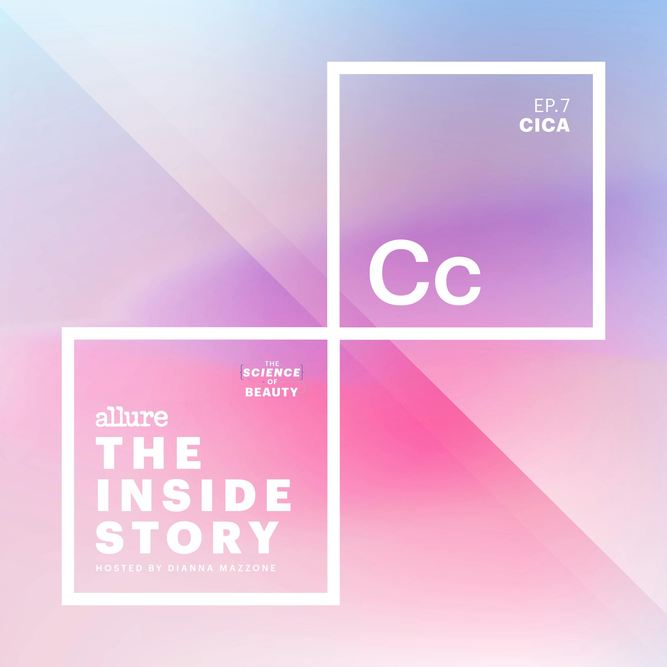 The Inside Story: Cica episode artwork