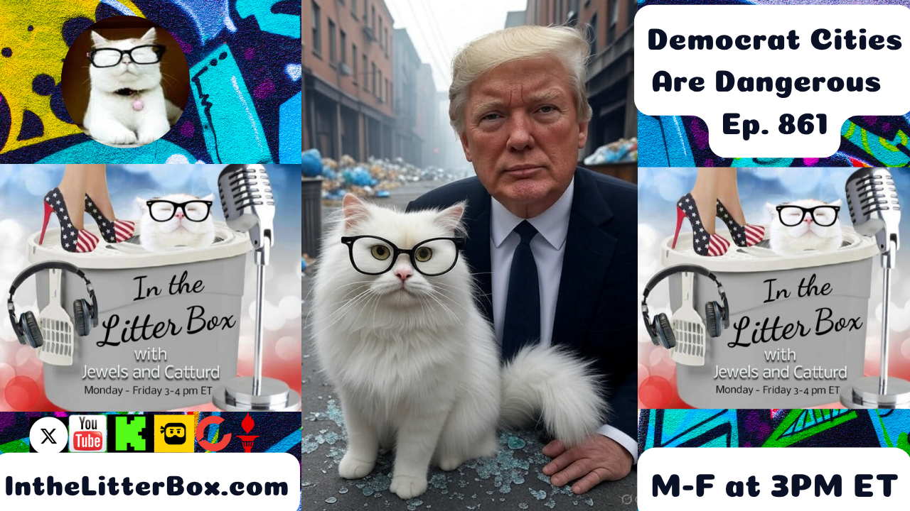 Democrat Cities Are Dangerous | In the Litter Box w/ Jewels & Catturd – Ep. 861 – 8/12/2025