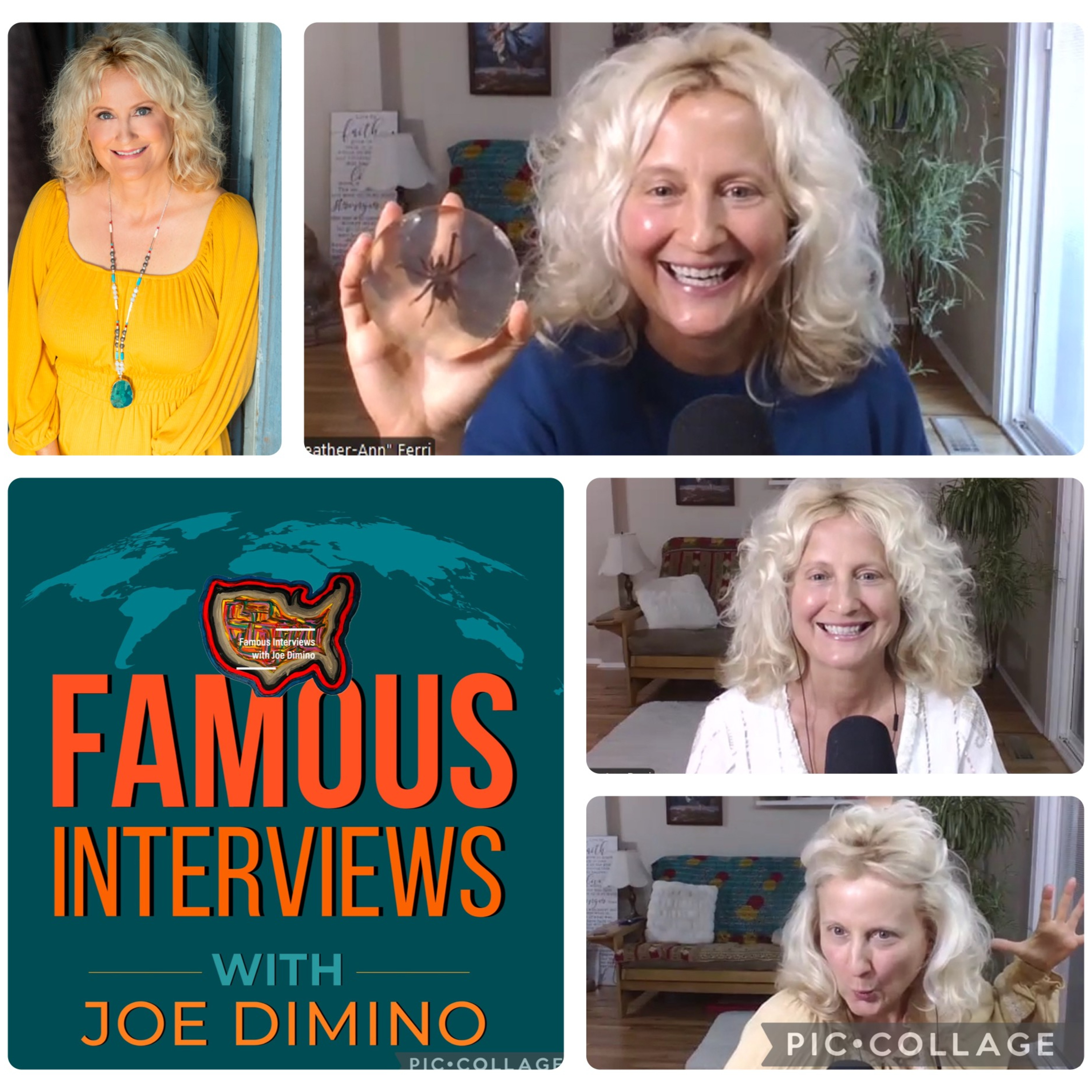 Author, Spiritual Leader & Speaker Heather-Ann Ferri episode artwork