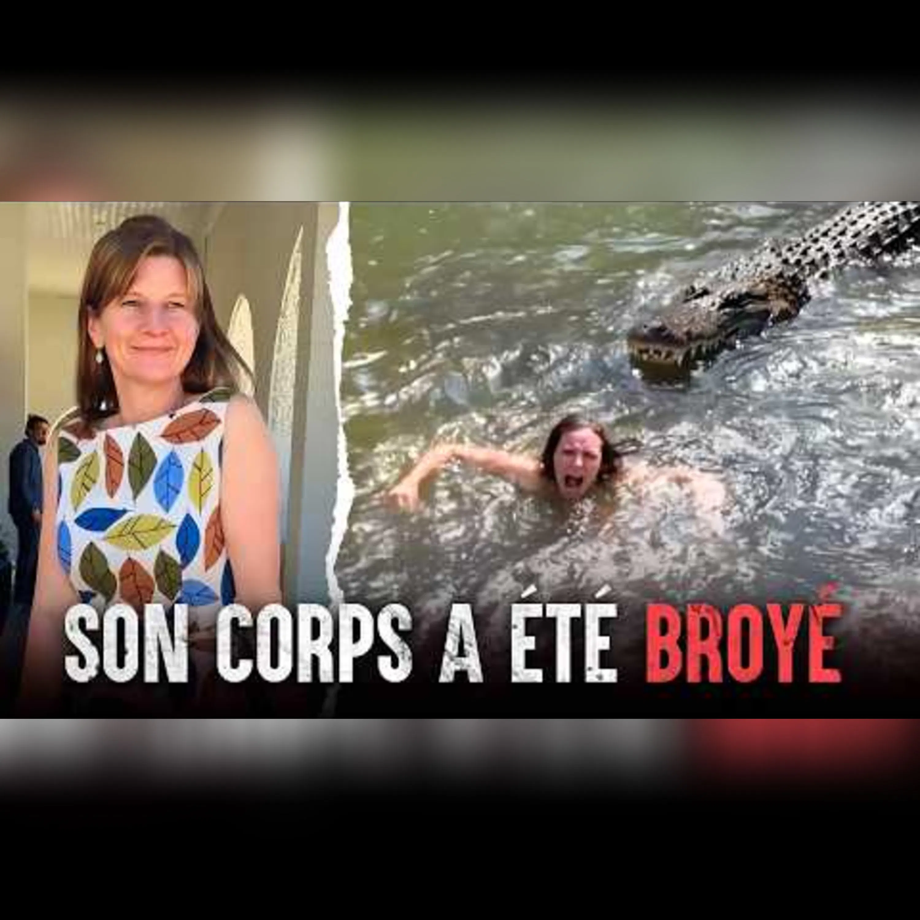 Elle a été entraînée dans la rivière par un crocodile episode artwork