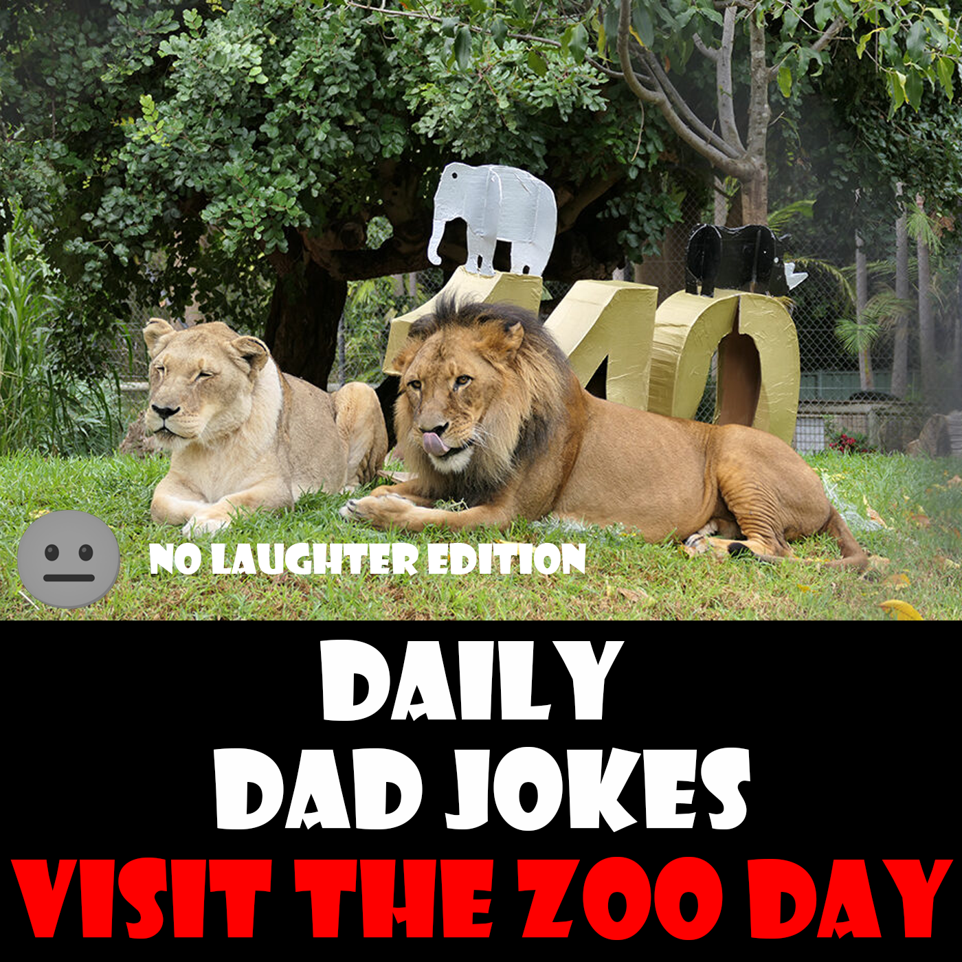 [No Laughter Version] Visit the Zoo Day! 28 dad jokes to monkey around with! 27 December 2025