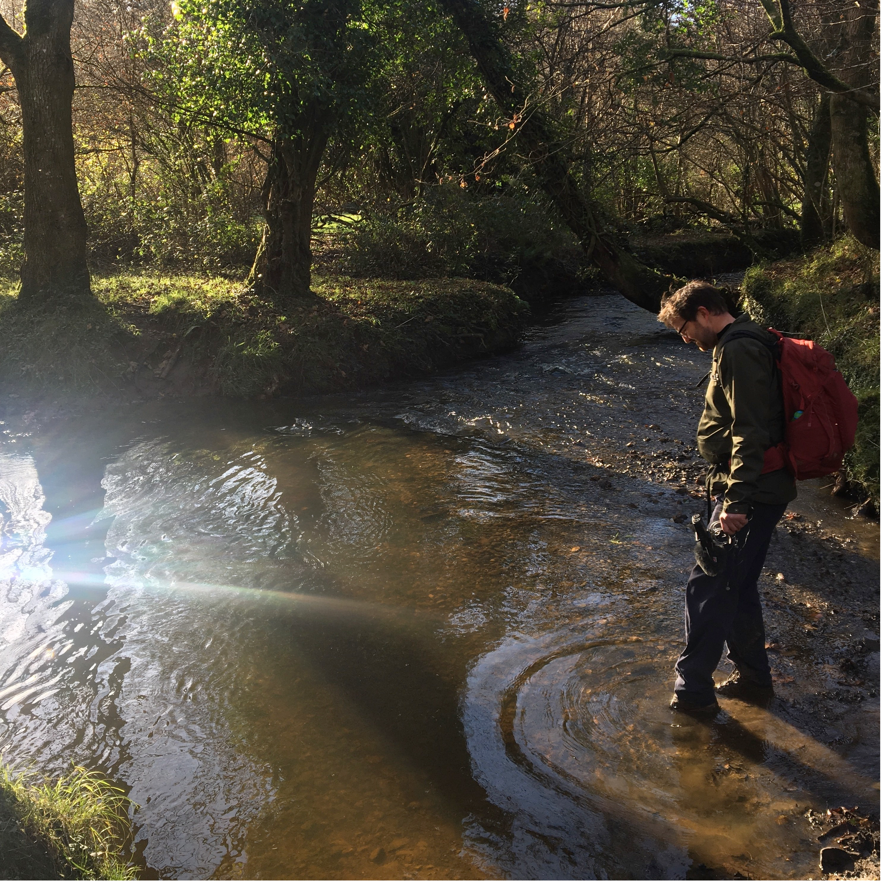96. Enjoy a wild wander along a Gower stream to the sea – with a treasure hunt!