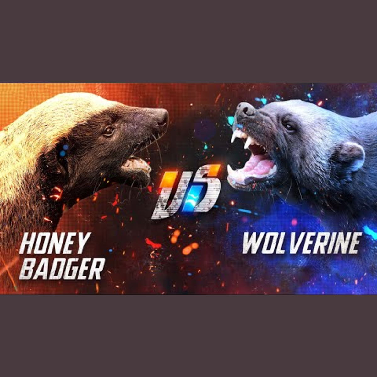 Wolverine vs. Honey Badger episode artwork
