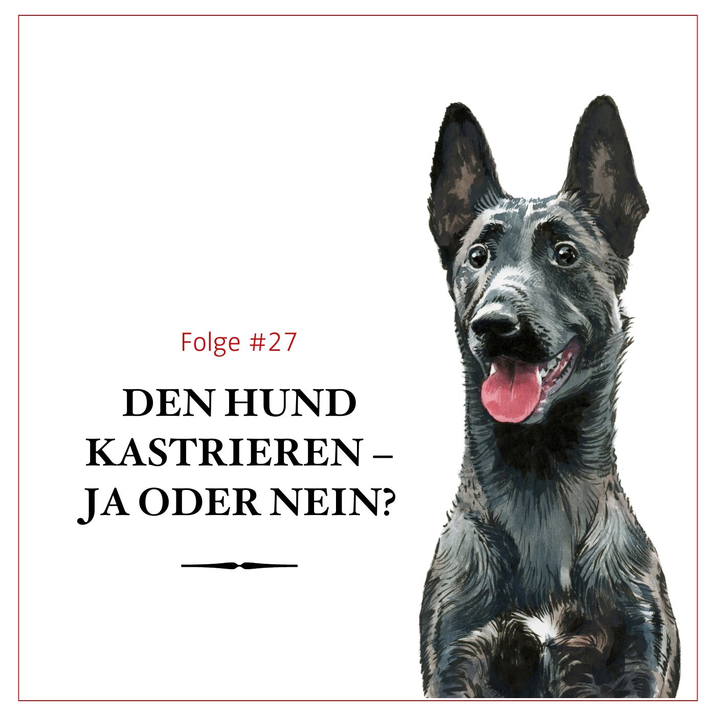 Den Hund kastrieren: Ja oder Nein? – #27