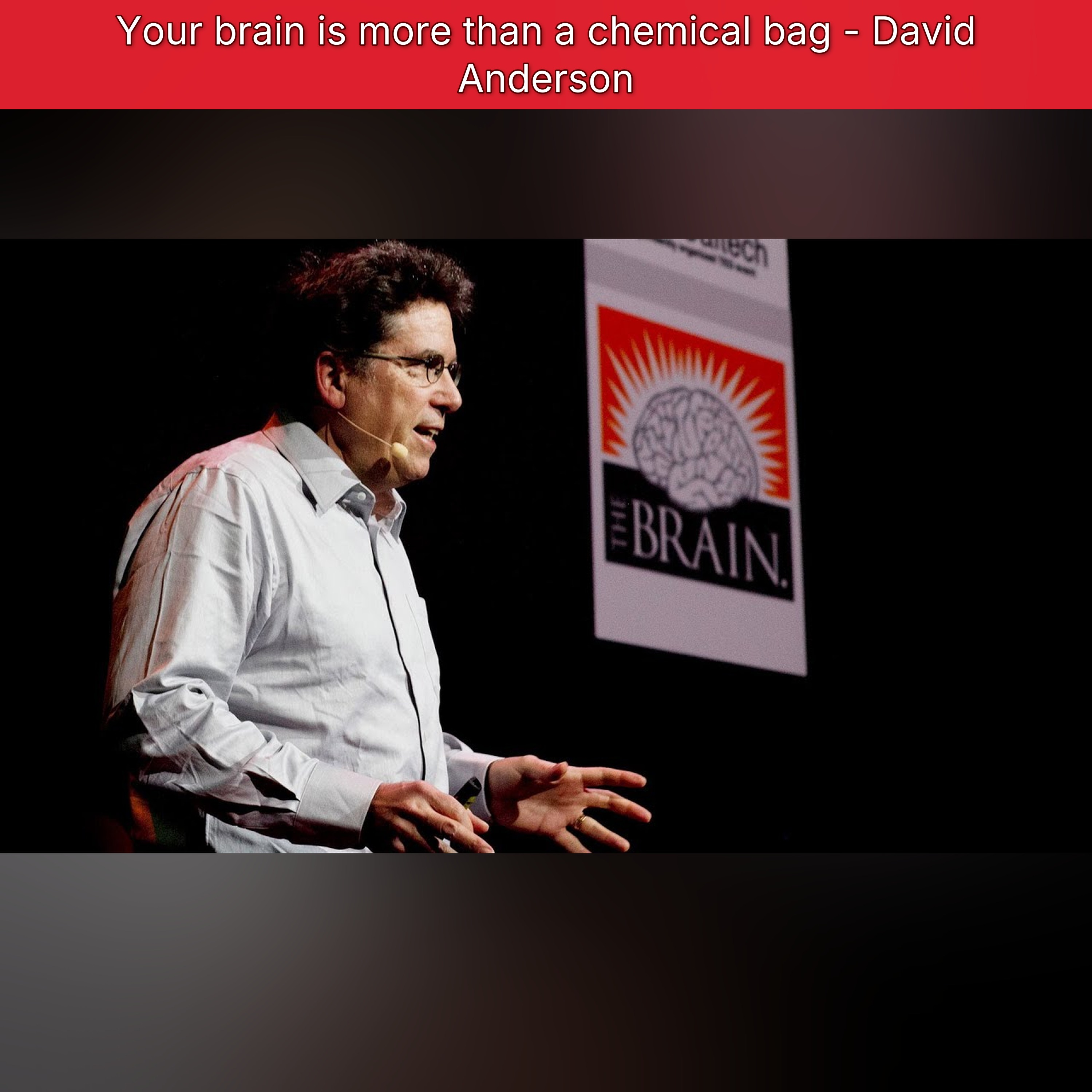 Your brain is more than a chemical bag - David Anderson episode artwork