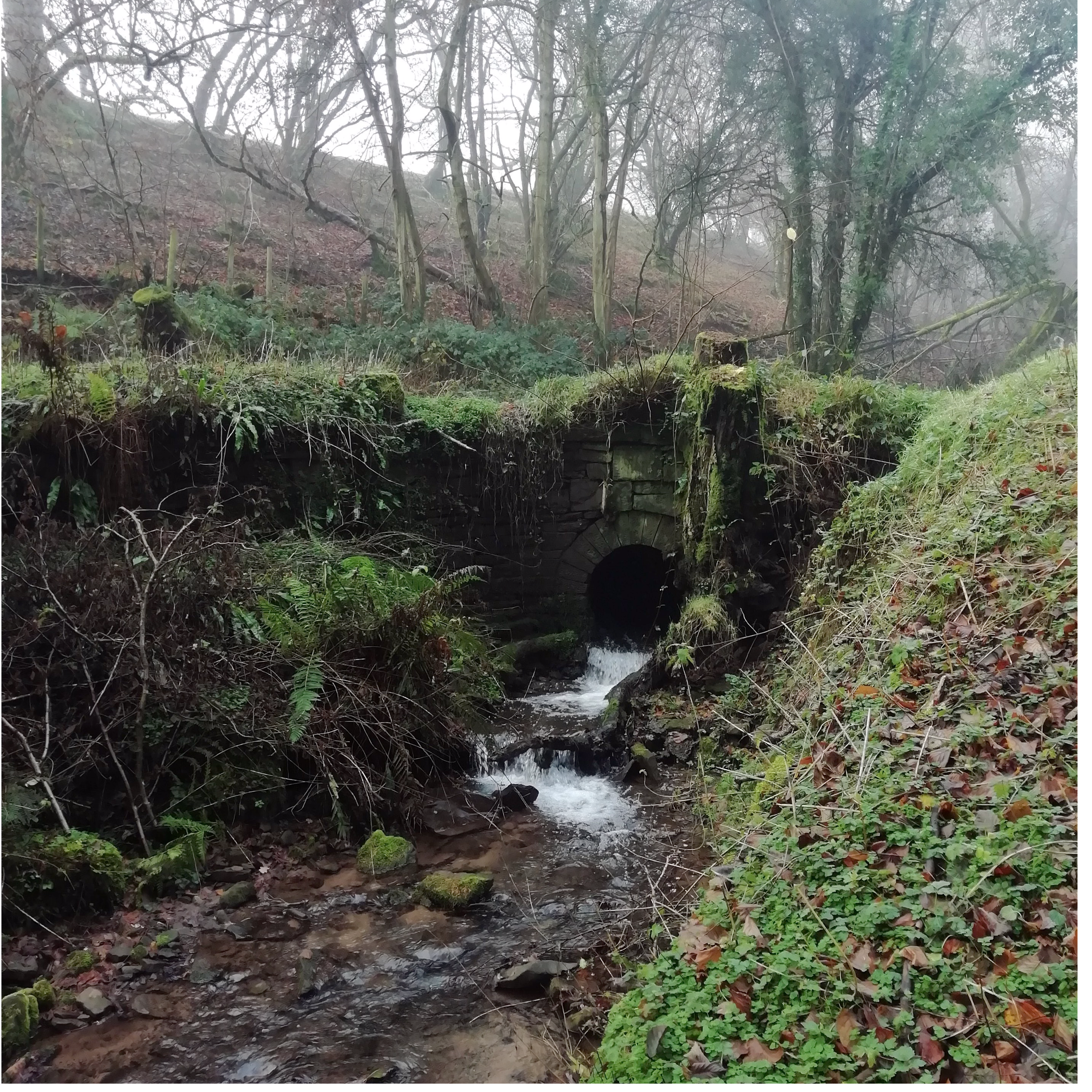 Sound Escape 5: wandering along an ancient holloway in the Brecon Beacons