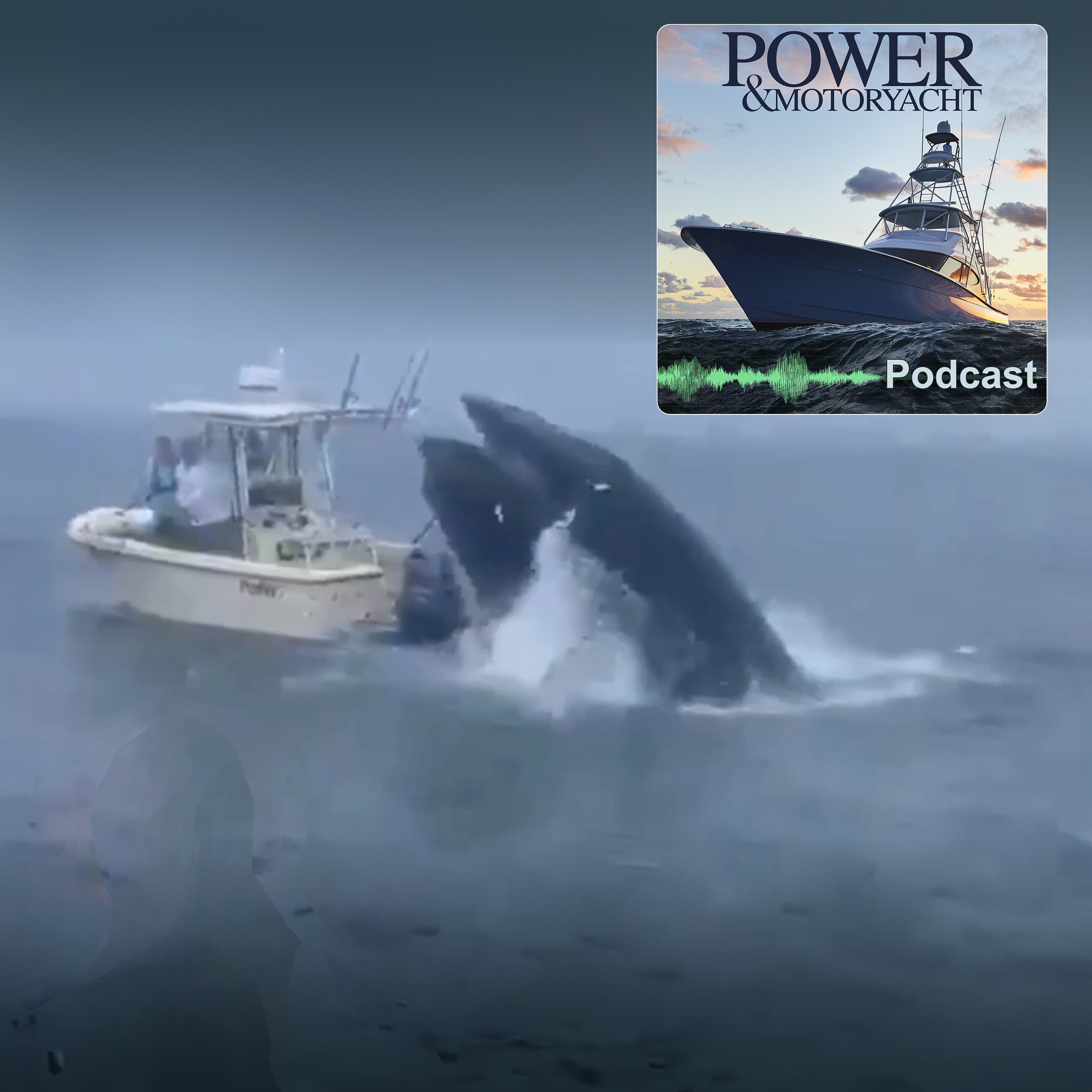 Whale Sinks Boat episode artwork