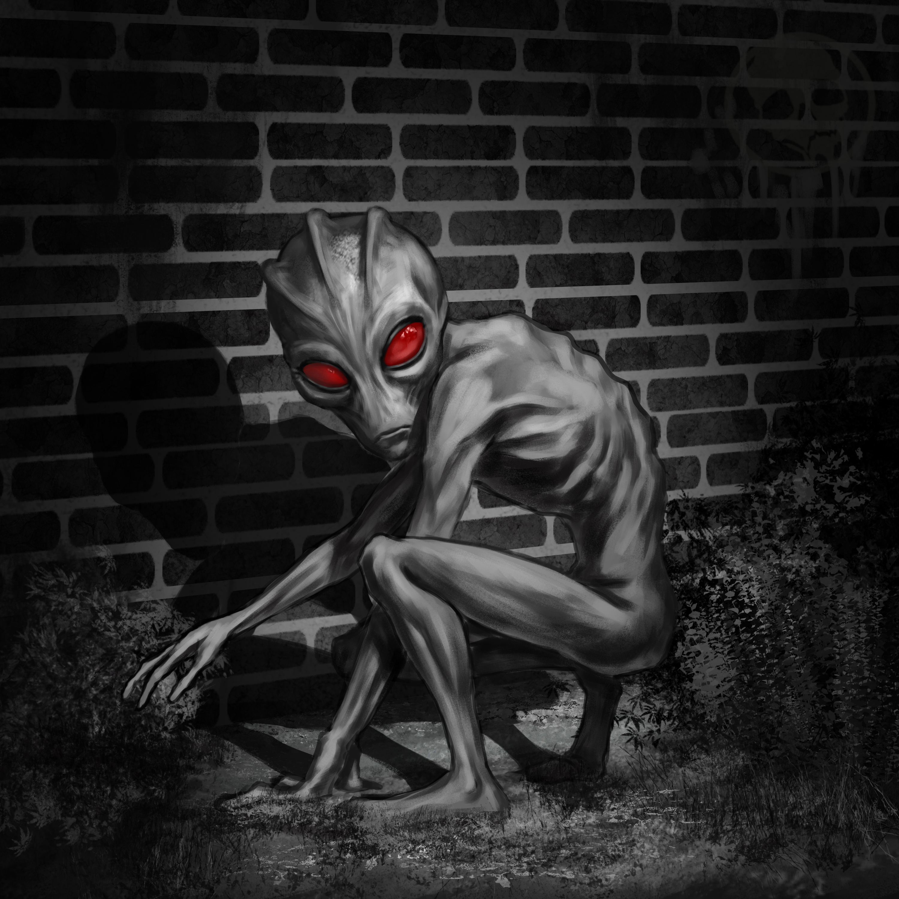 The Alien of Varginha